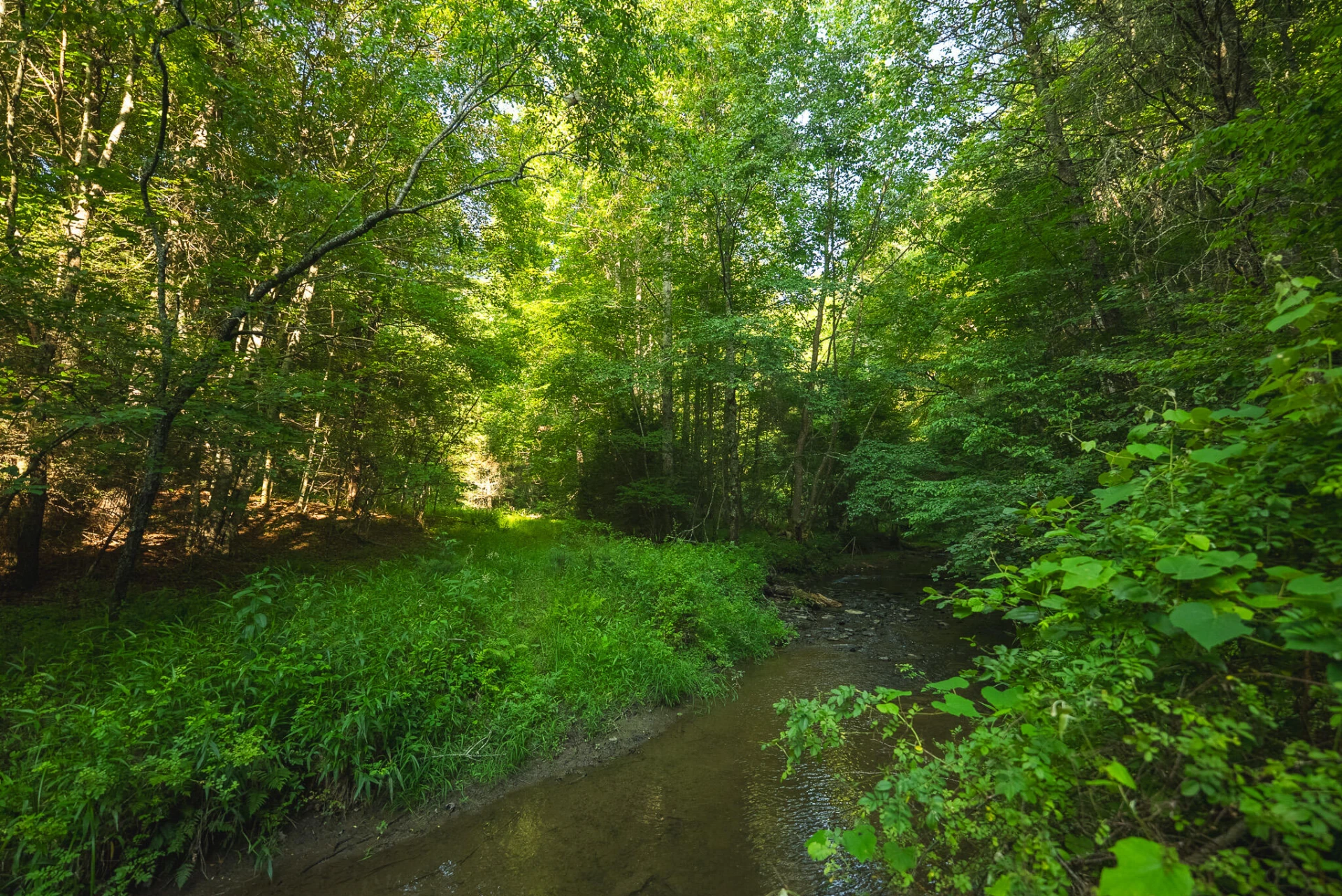 TBD Sawmill Hill RD NW - Photo 40