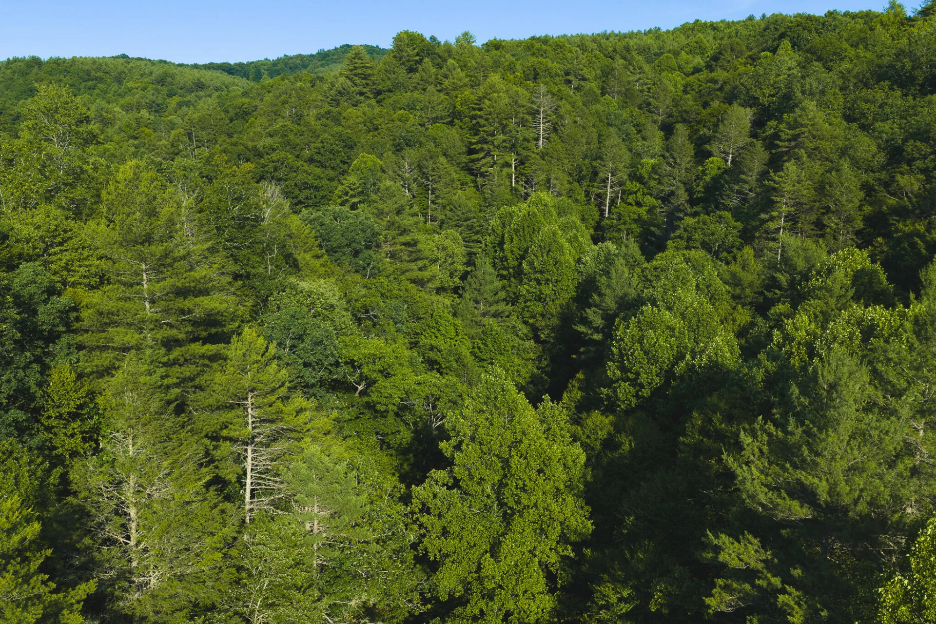 TBD Sawmill Hill RD NW - Photo 6
