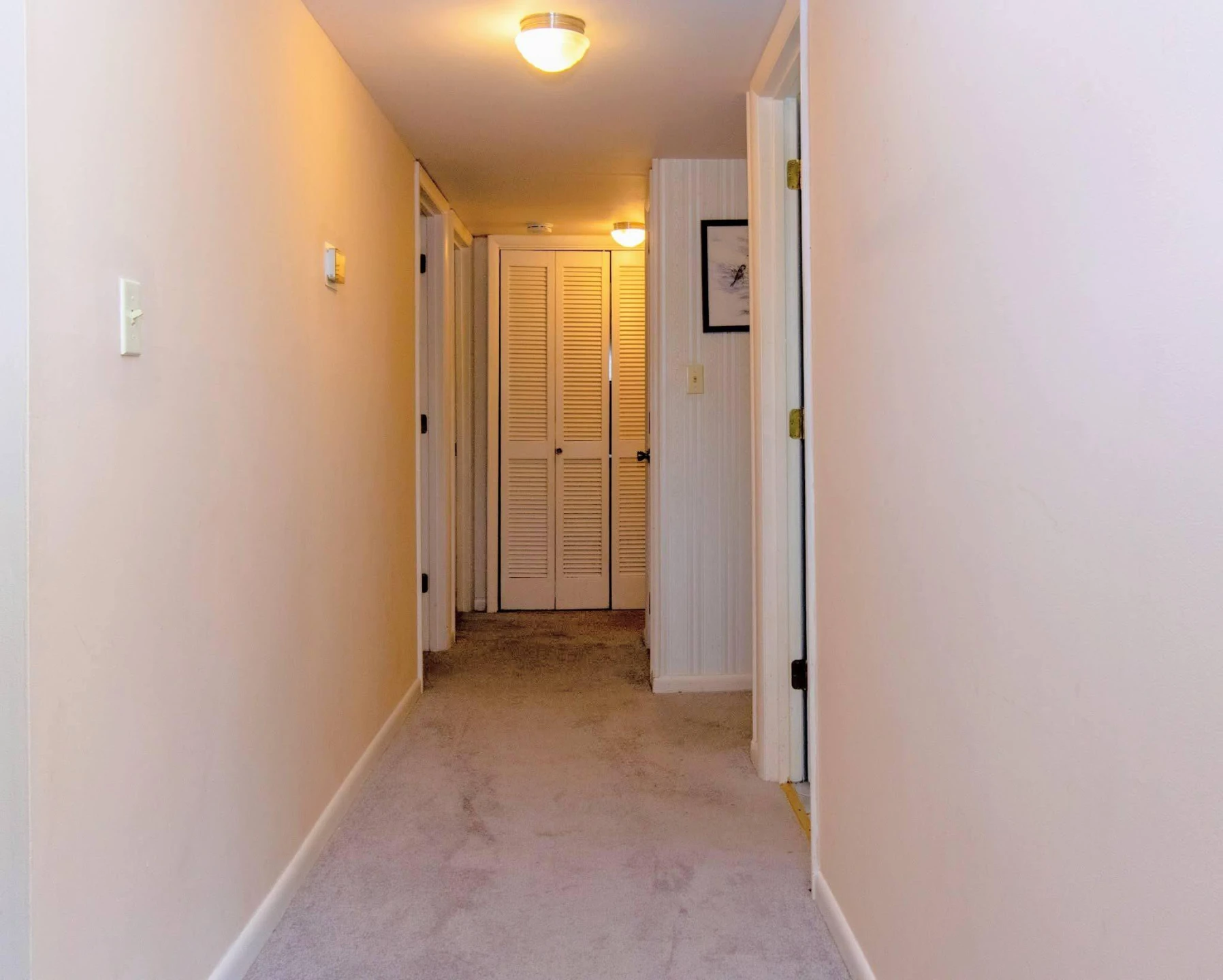 5260 Crossbow CIR #UNIT 5D - Photo 28