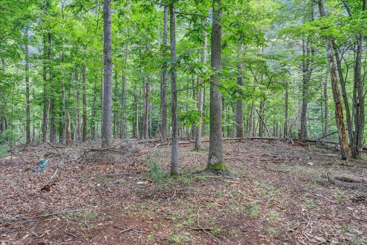 181 Oakdale DR - Photo 50