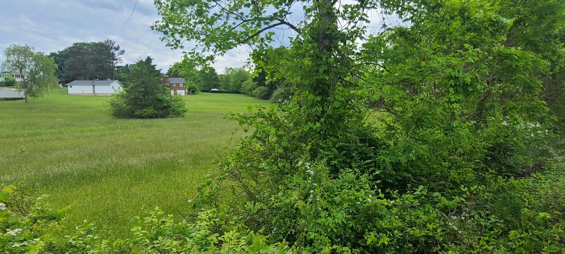 Lot 8 Edwardsville RD - Photo 3
