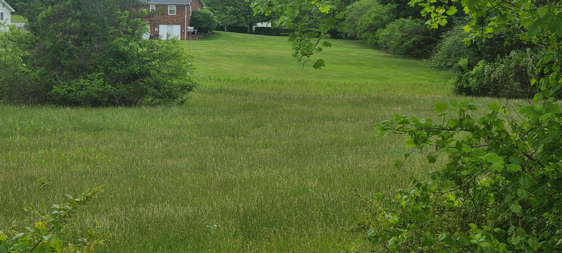 Lot 8 Edwardsville RD - Photo 5