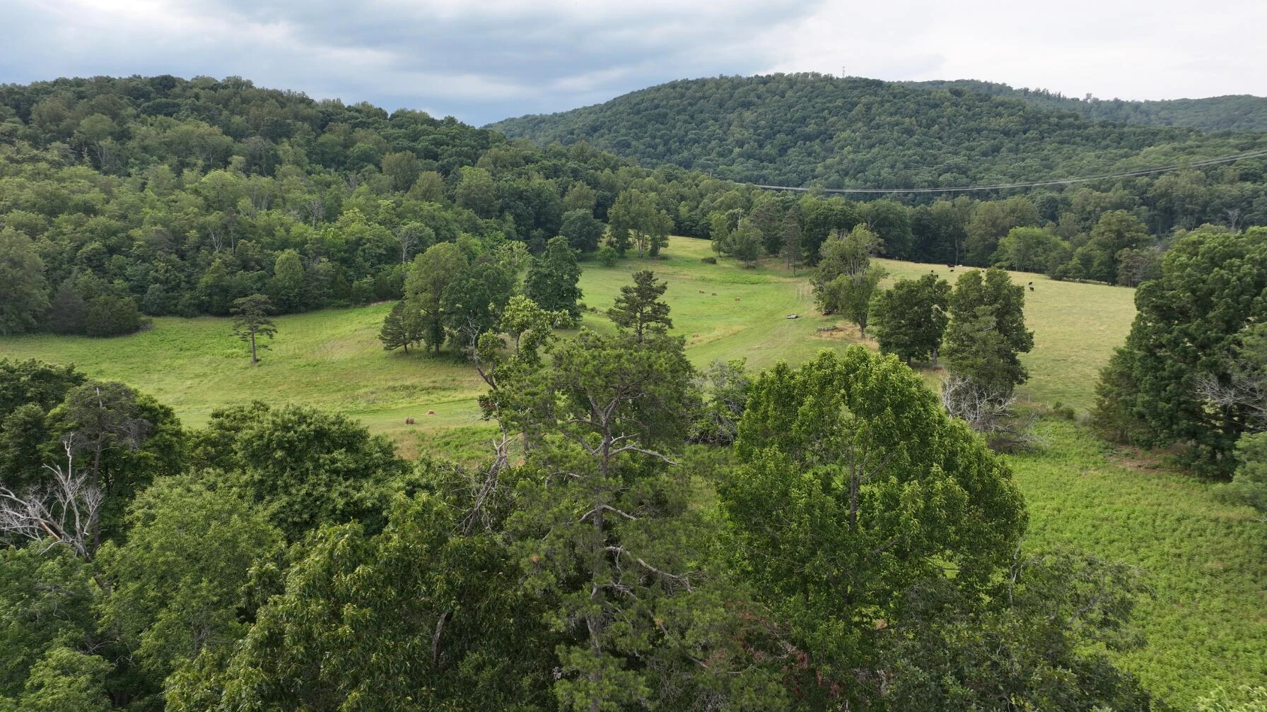 2225 IRVING RD - Photo 22