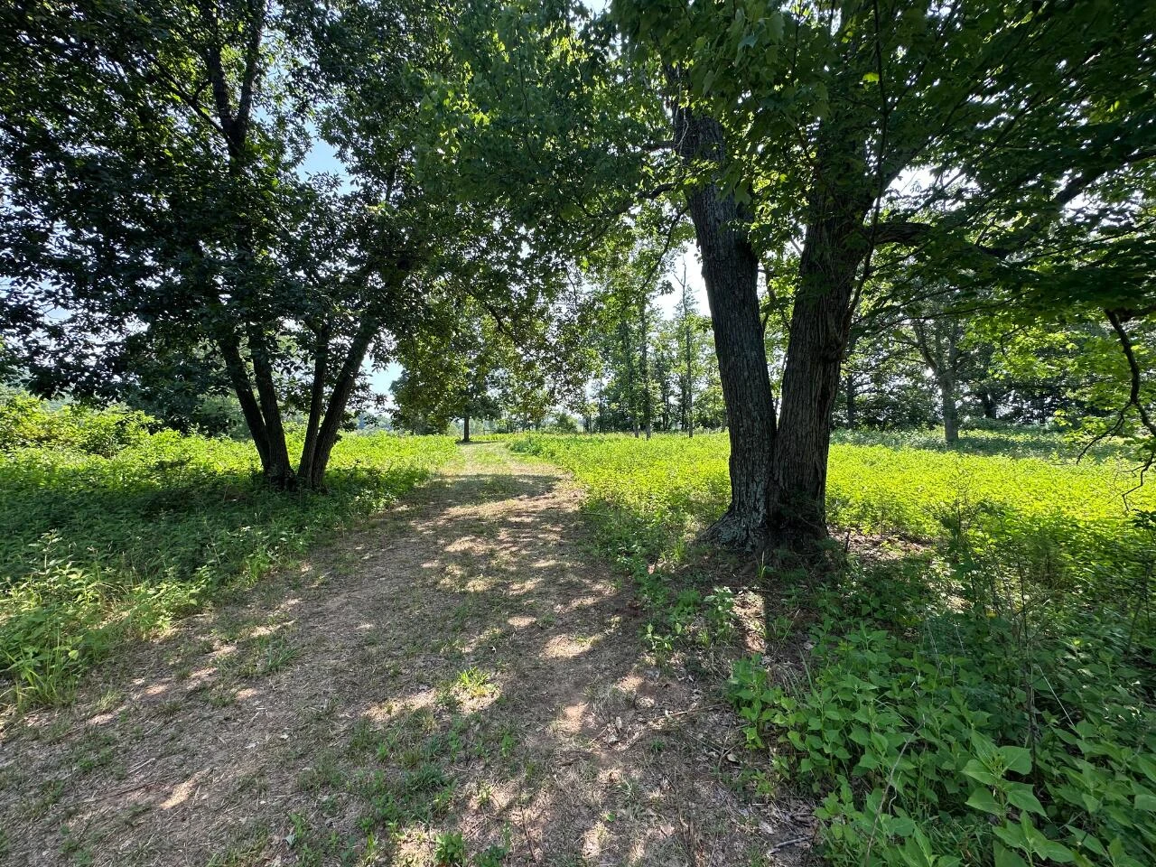 2225 IRVING RD - Photo 35