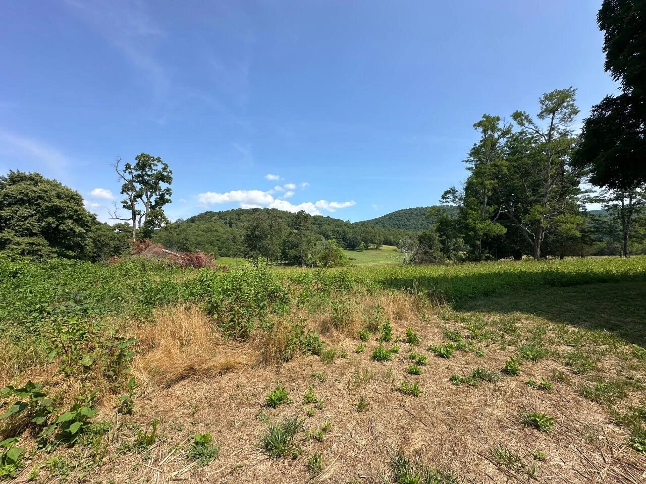 2225 IRVING RD - Photo 36