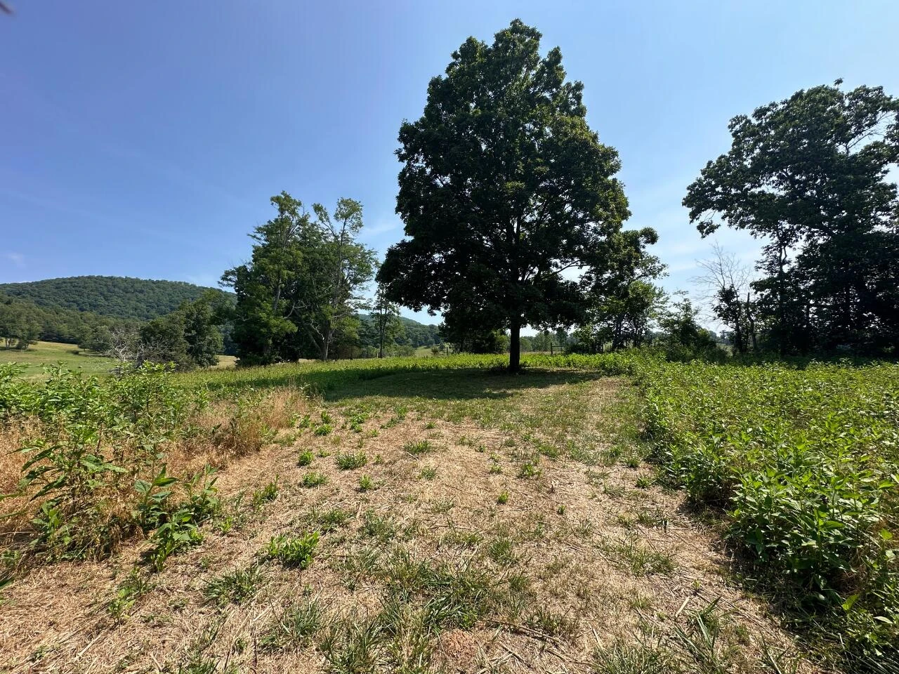 2225 IRVING RD - Photo 37