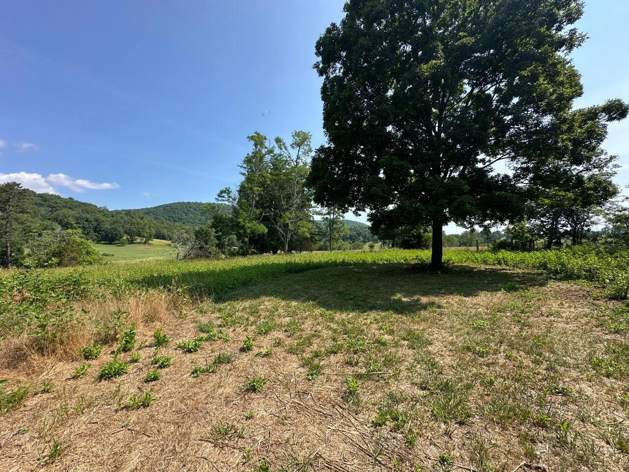 2225 IRVING RD - Photo 38