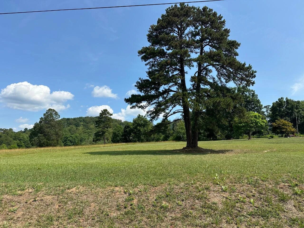 2225 IRVING RD - Photo 42