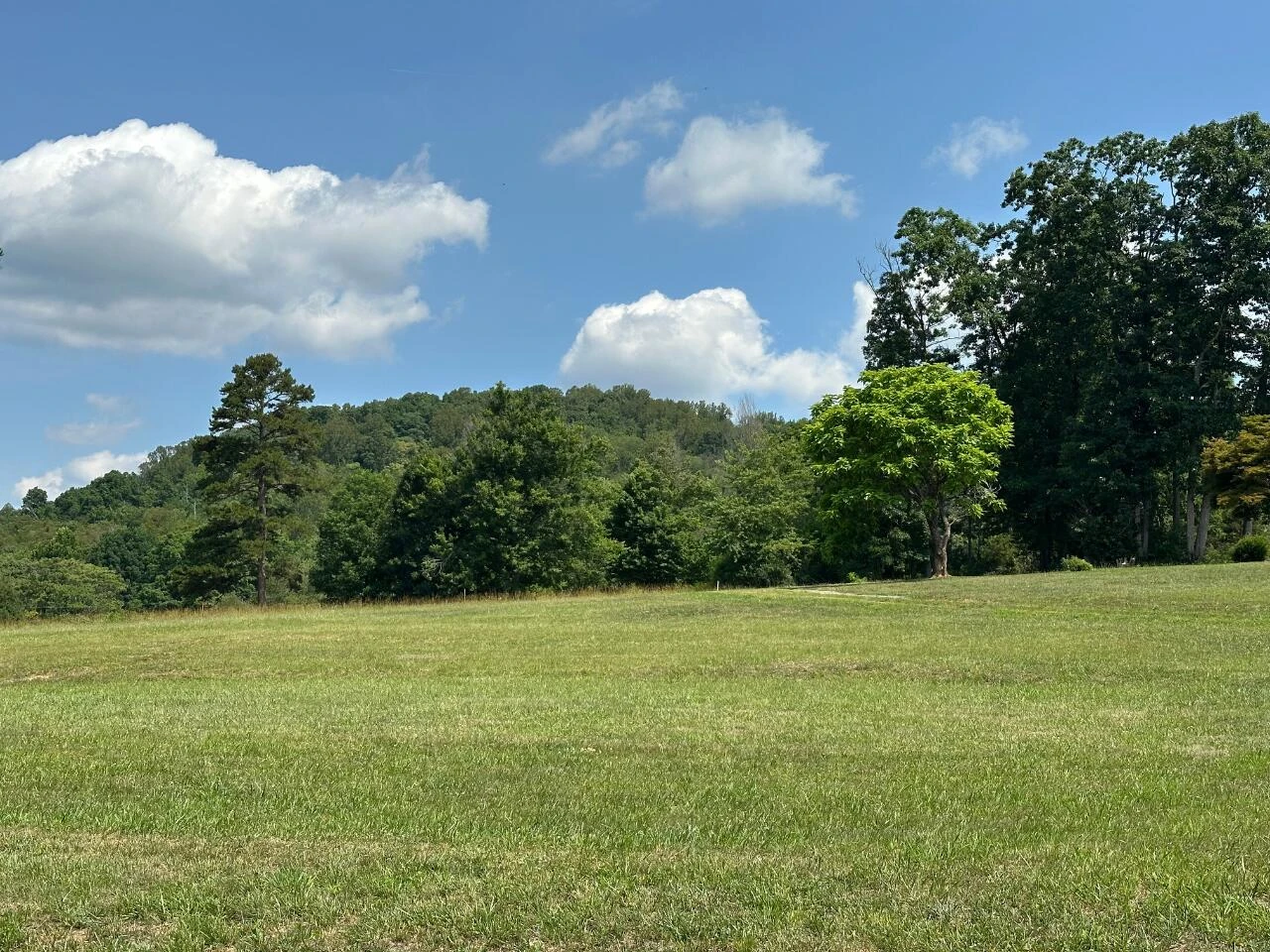 2225 IRVING RD - Photo 44