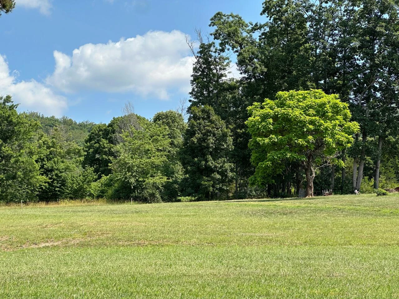 2225 IRVING RD - Photo 46
