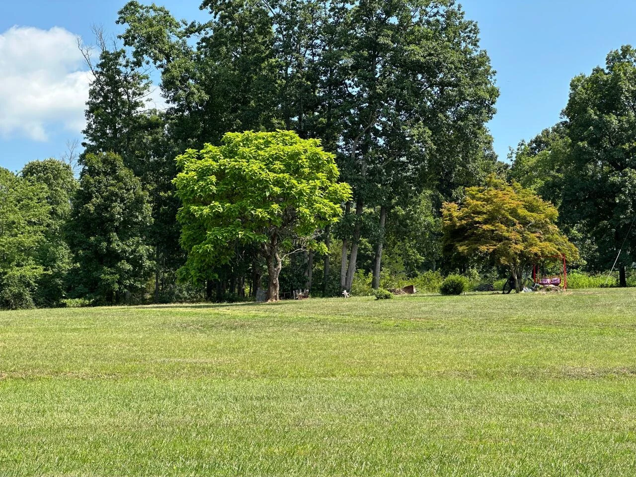 2225 IRVING RD - Photo 47