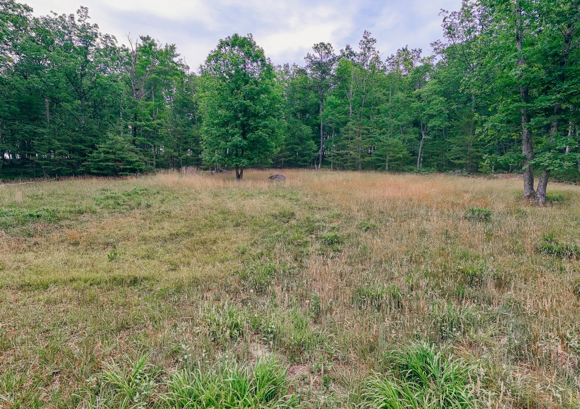 0 Johns Creek Mountain RD