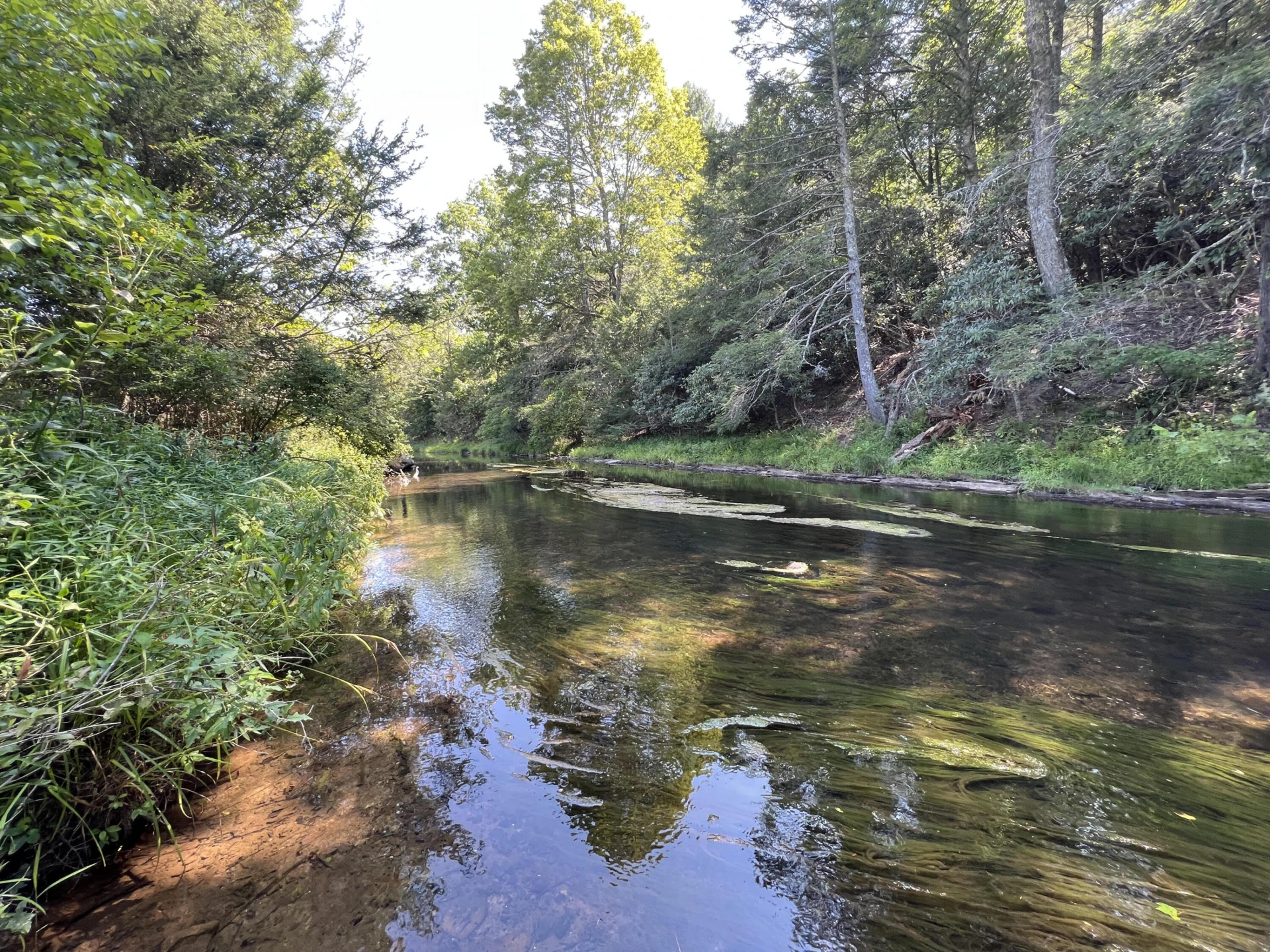 0 Johns Creek Mountain RD - Photo 10