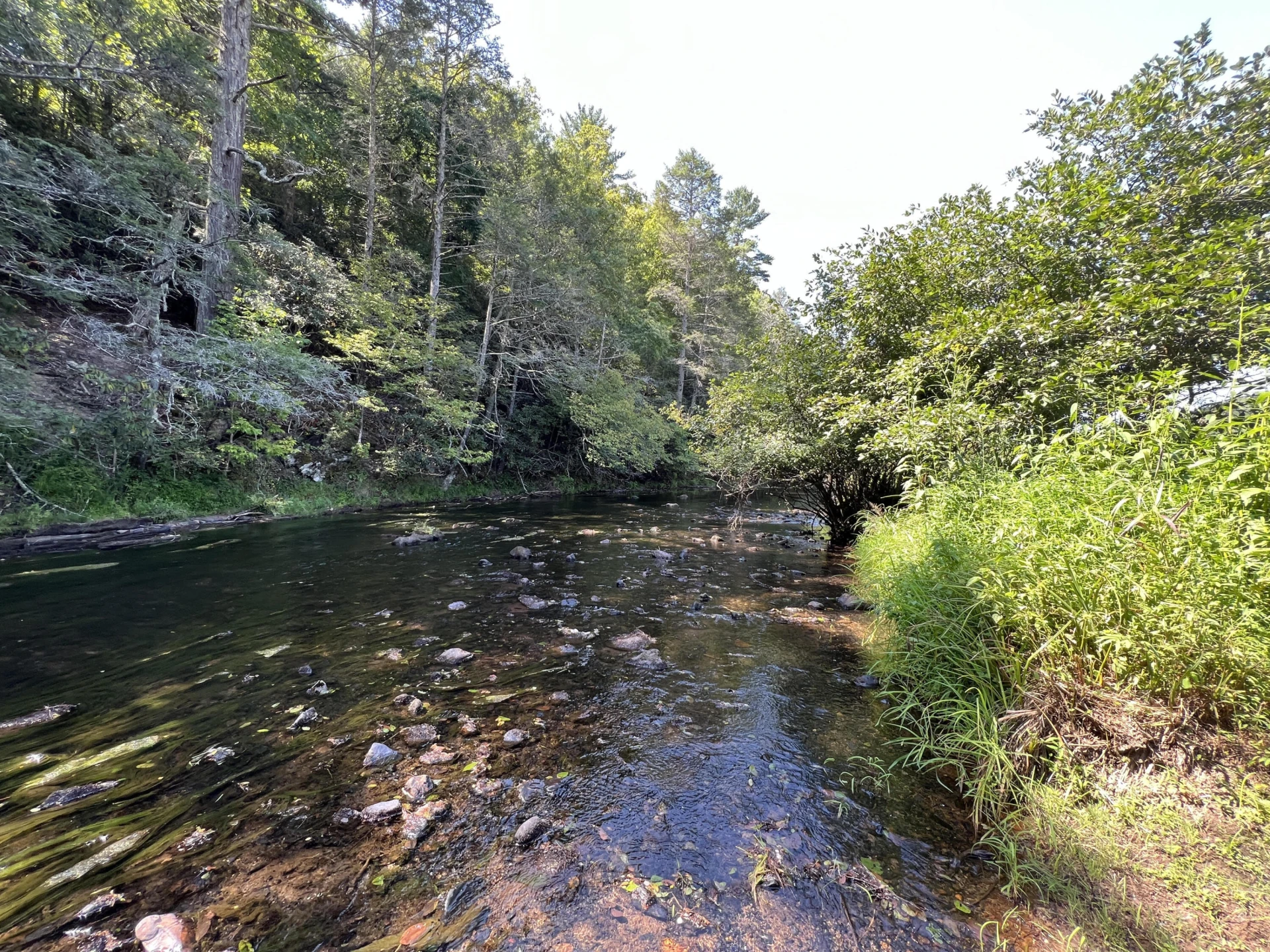0 Johns Creek Mountain RD - Photo 11