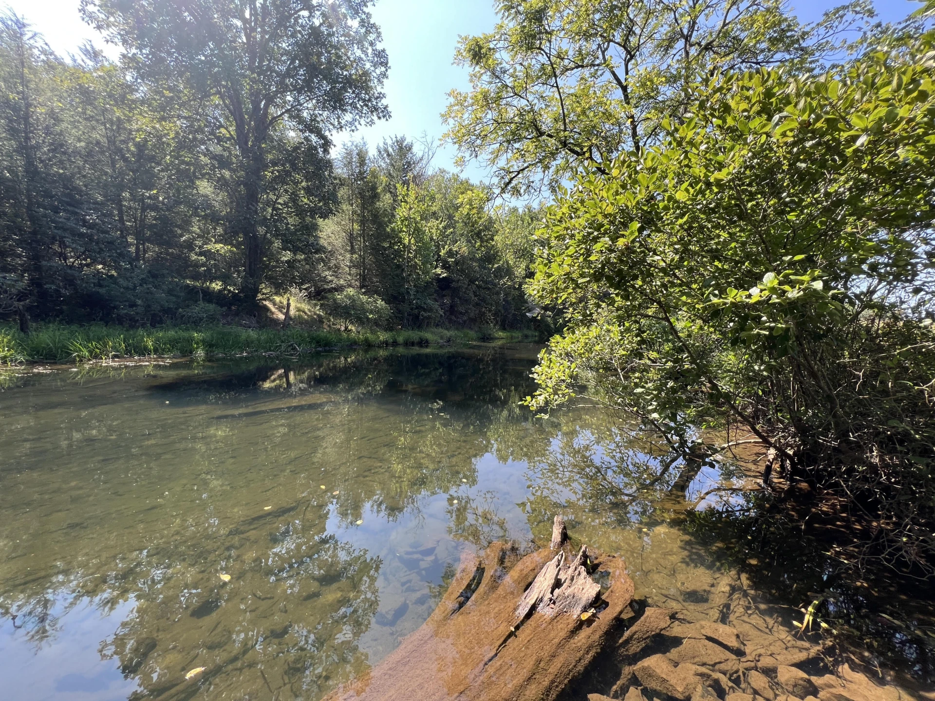 0 Johns Creek Mountain RD - Photo 16