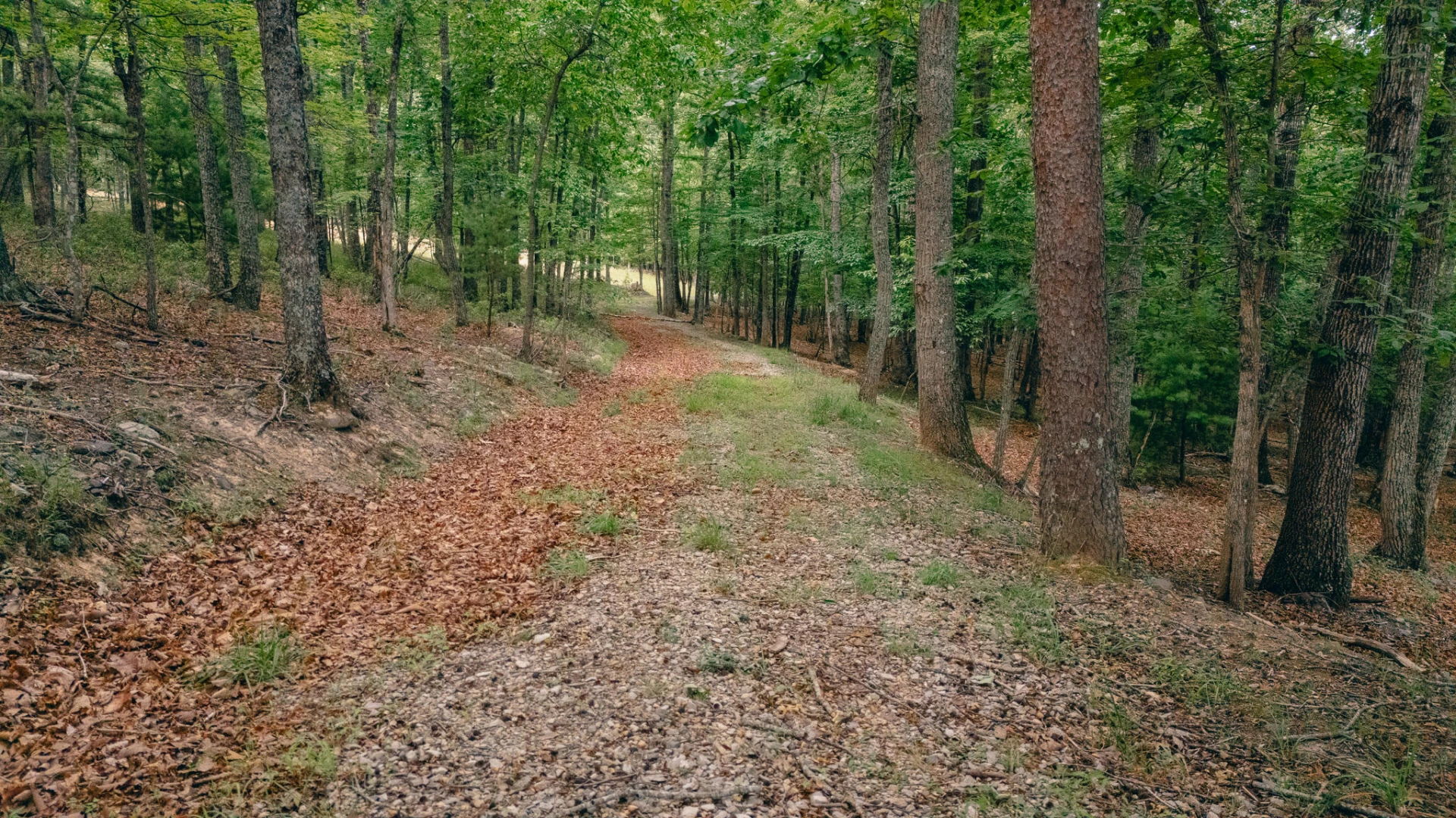 0 Johns Creek Mountain RD - Photo 2