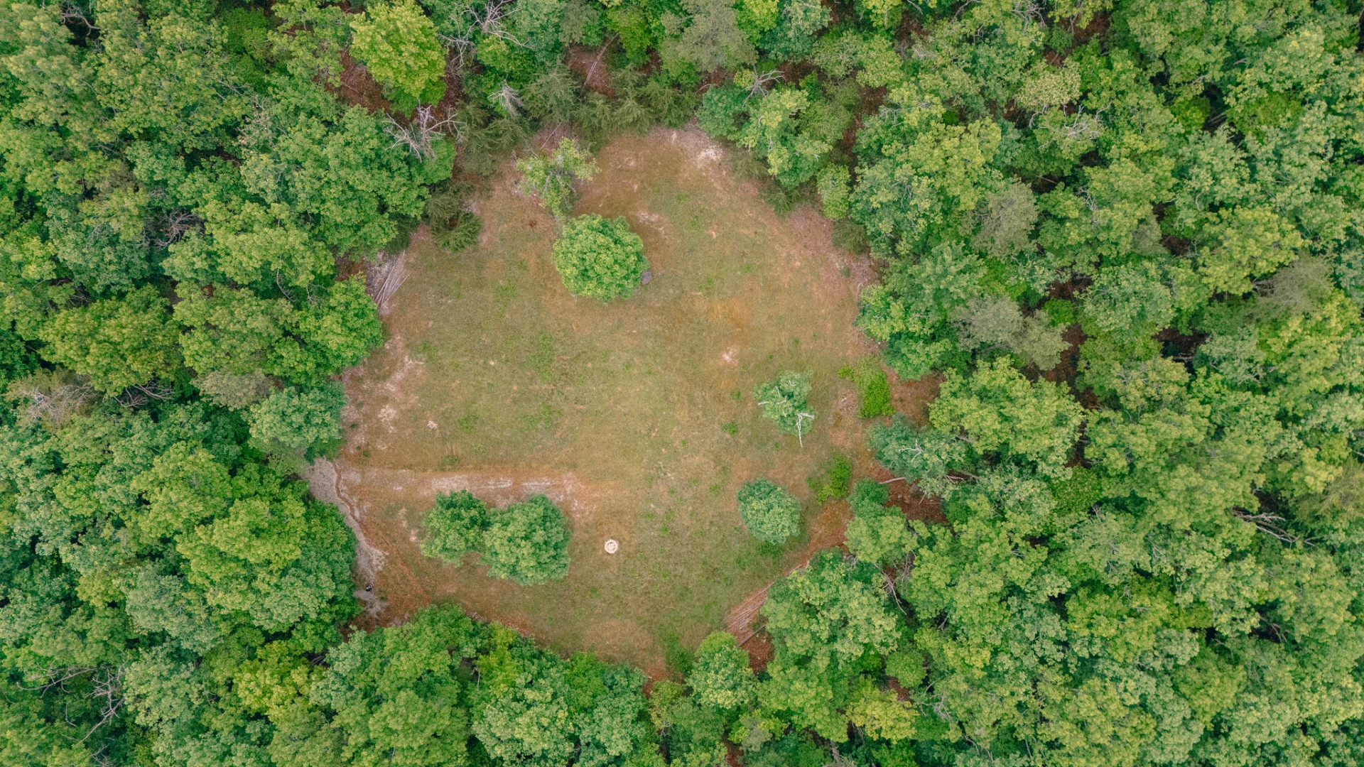 0 Johns Creek Mountain RD - Photo 3
