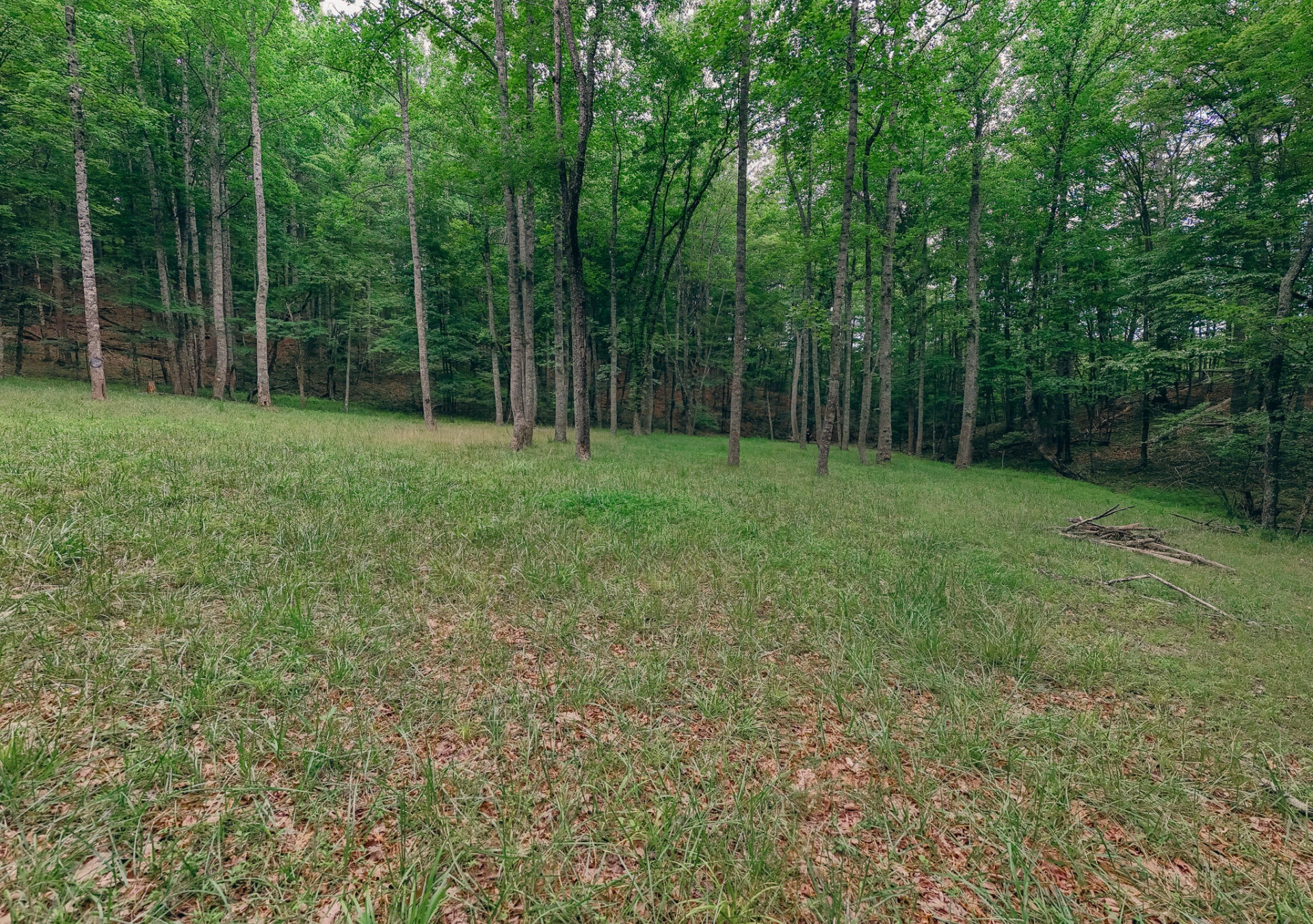 0 Johns Creek Mountain RD - Photo 4