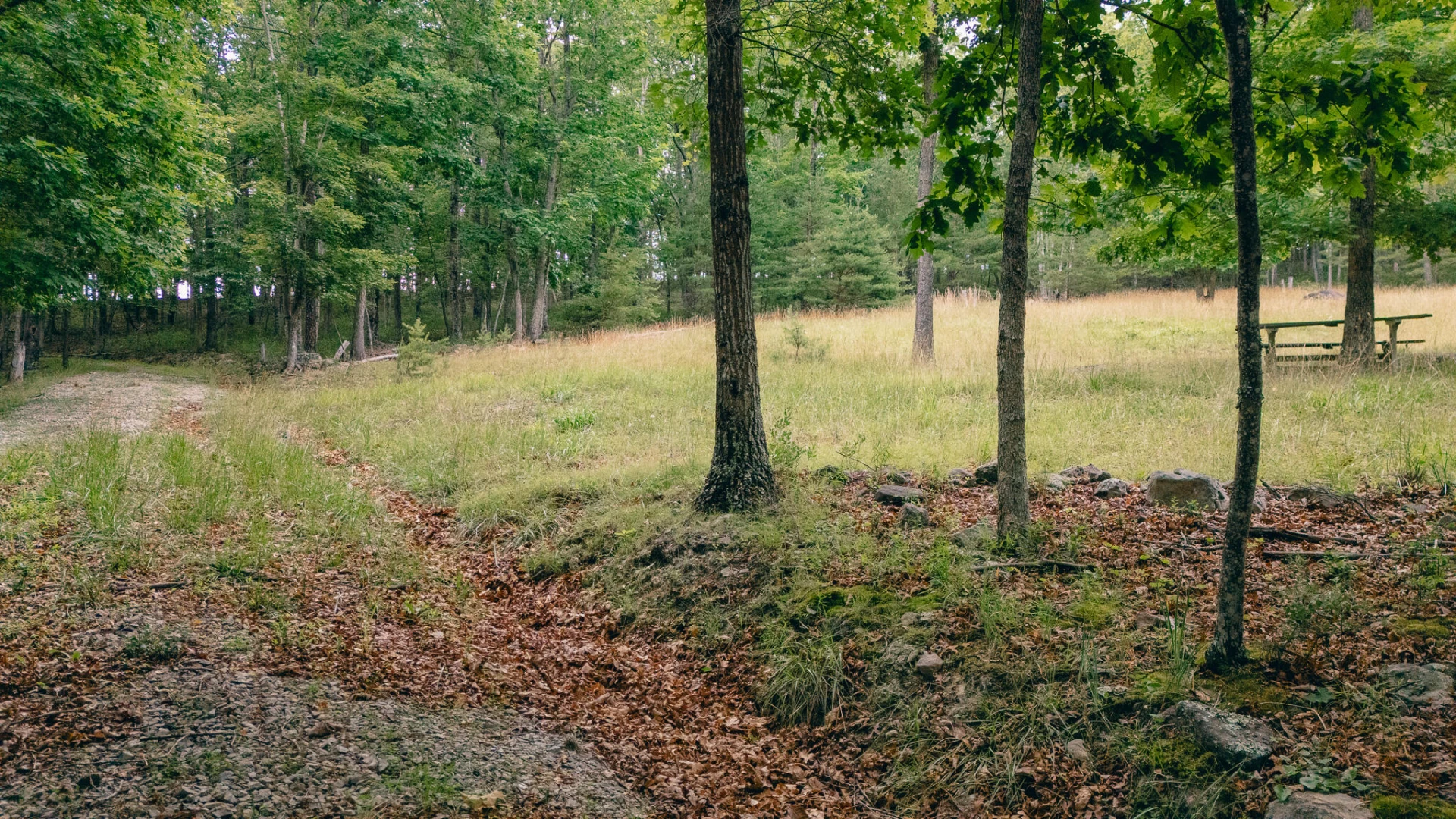 0 Johns Creek Mountain RD - Photo 5