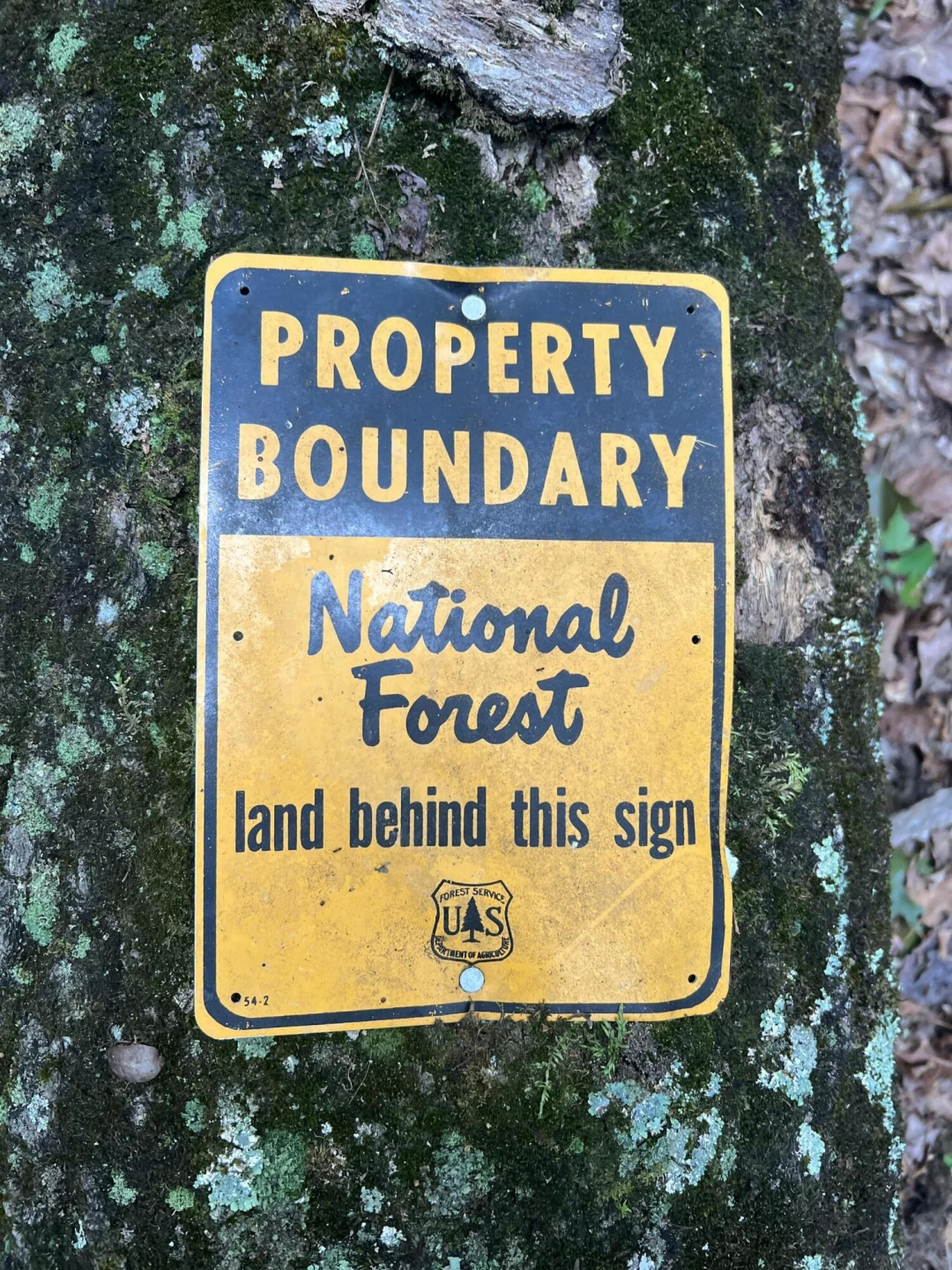 0 Johns Creek Mountain RD - Photo 8
