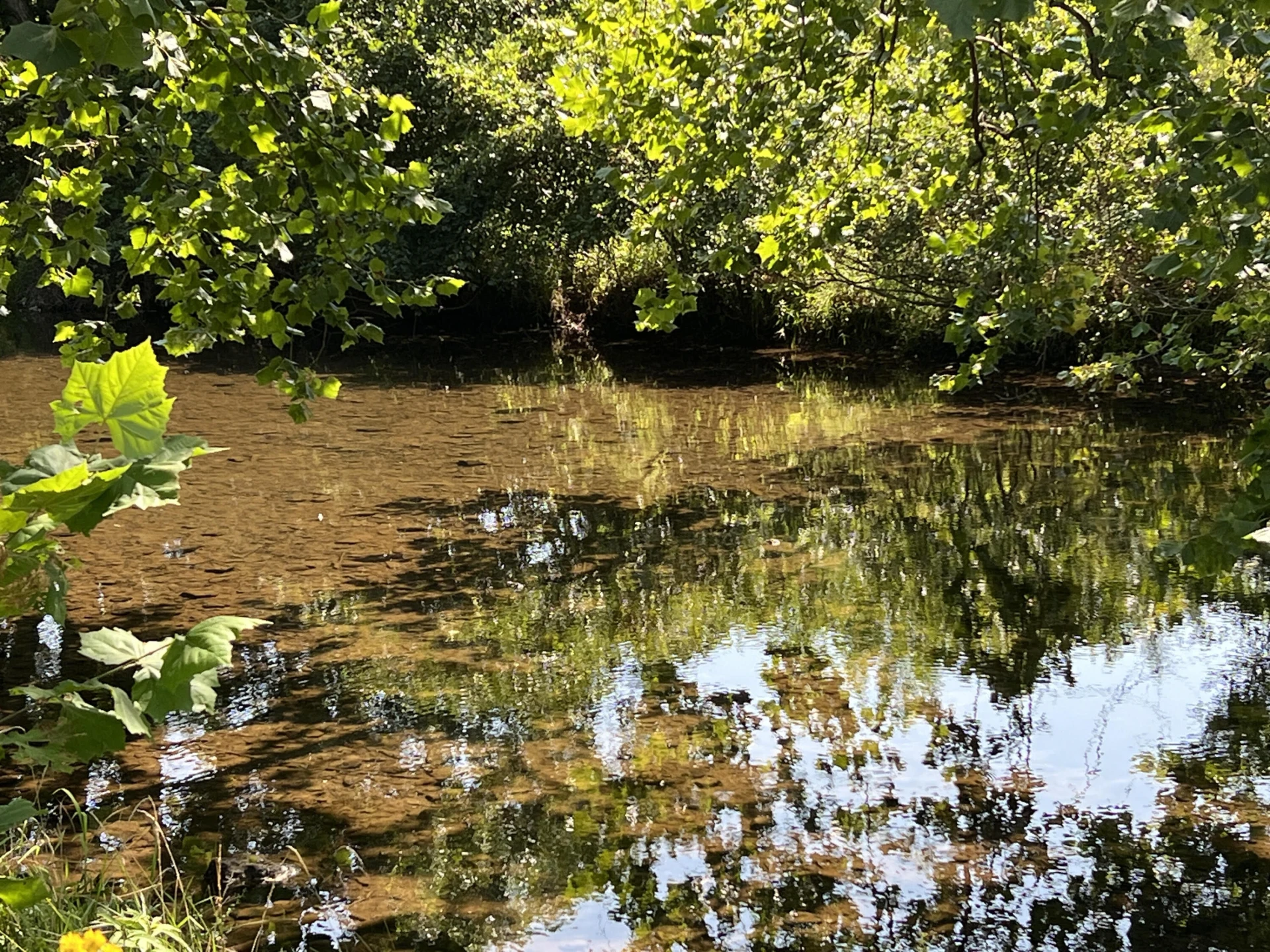 0 Johns Creek Mountain RD - Photo 9