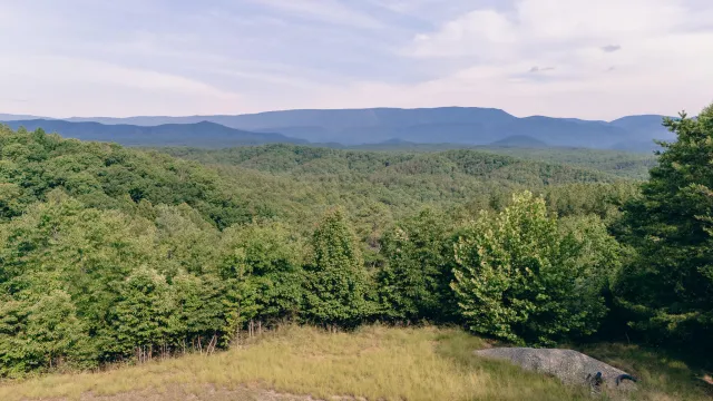 26-62B Sugar Tree Hollow RD, Eagle Rock, VA, 24085