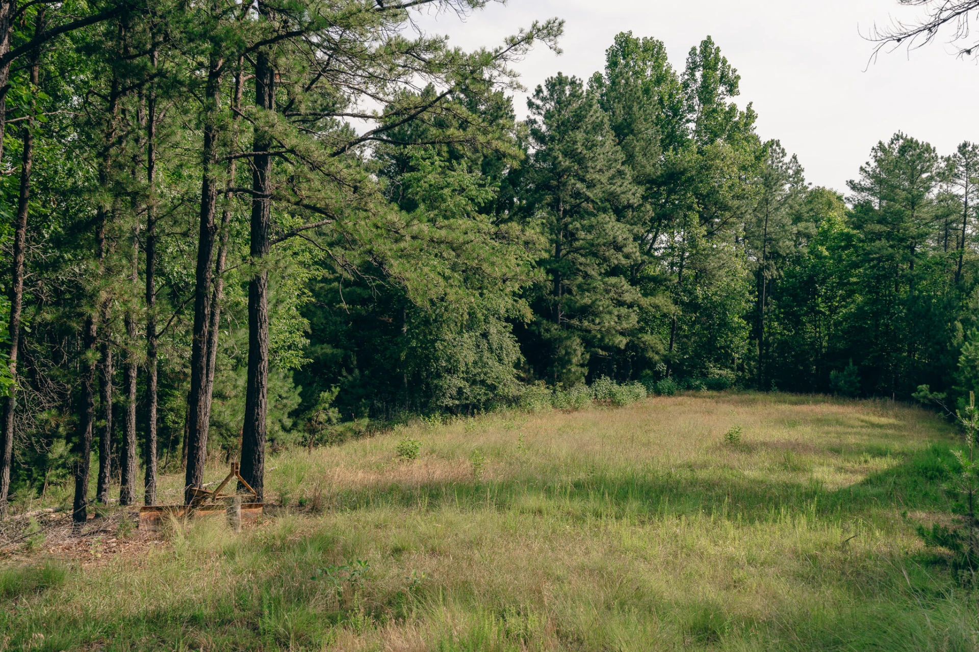 26-62B Sugar Tree Hollow RD - Photo 10