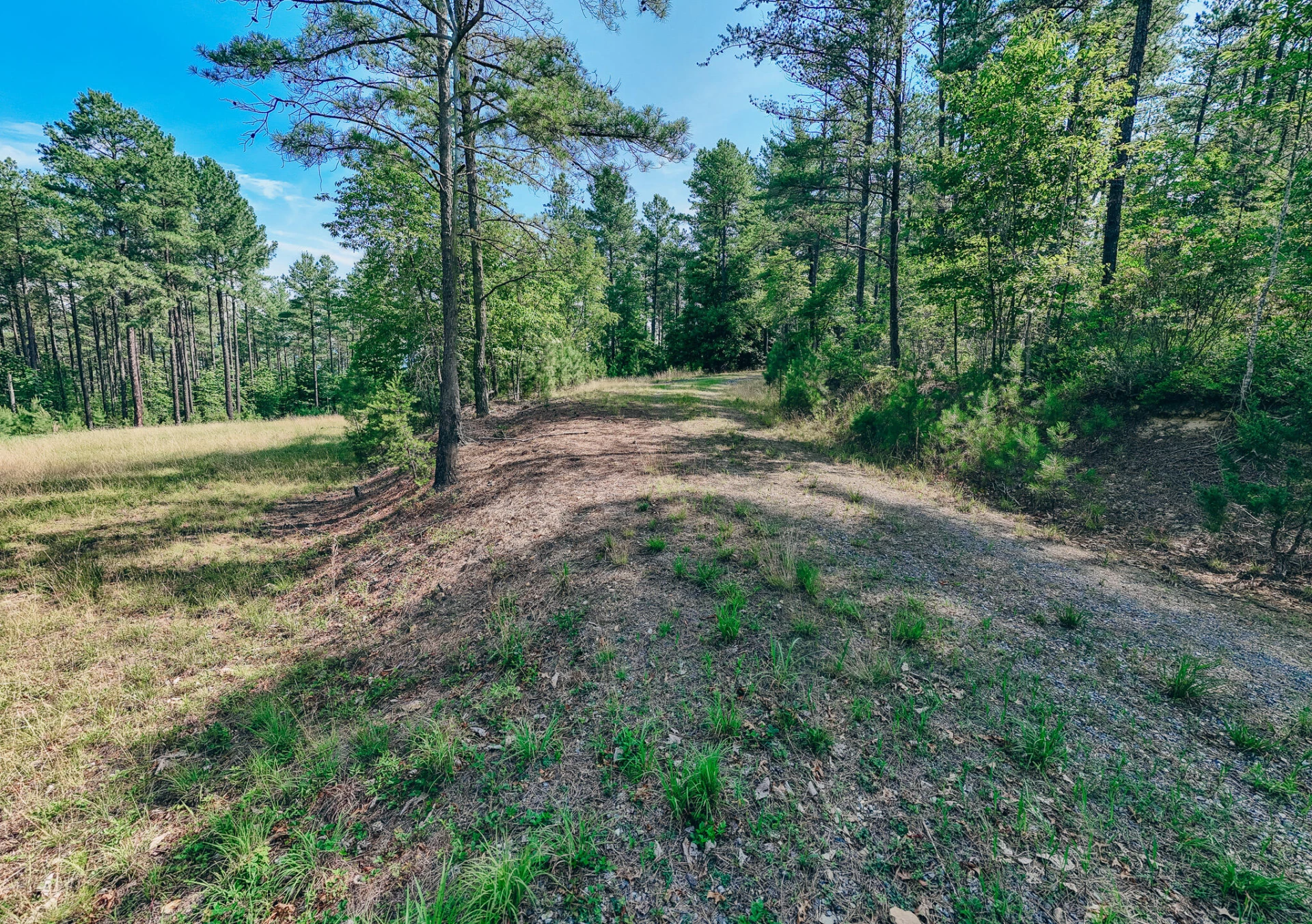 26-62B Sugar Tree Hollow RD - Photo 17