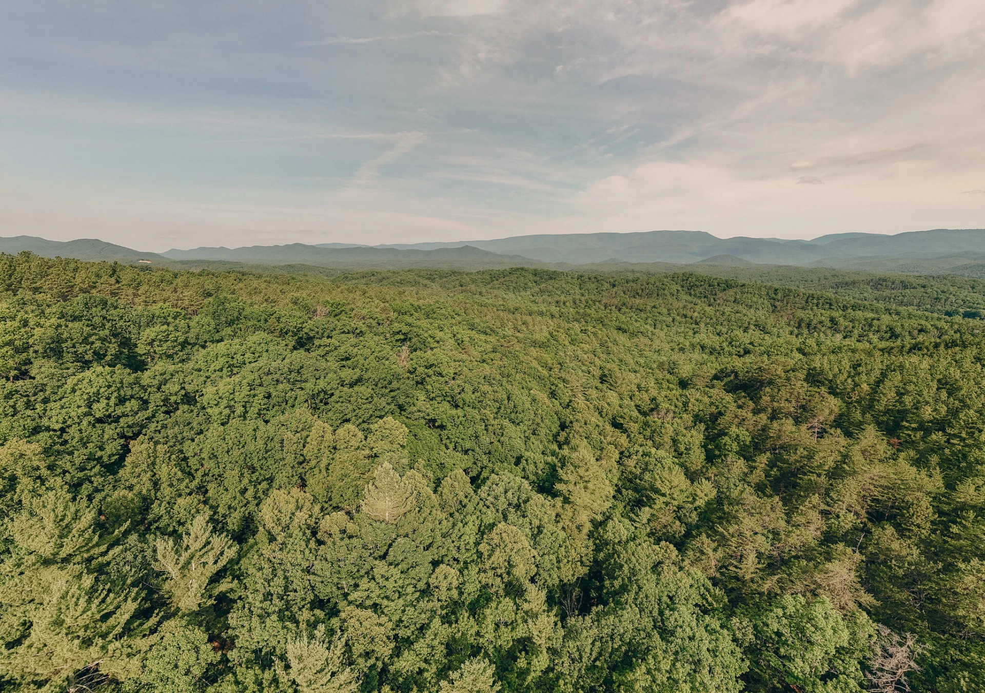 26-62B Sugar Tree Hollow RD - Photo 5