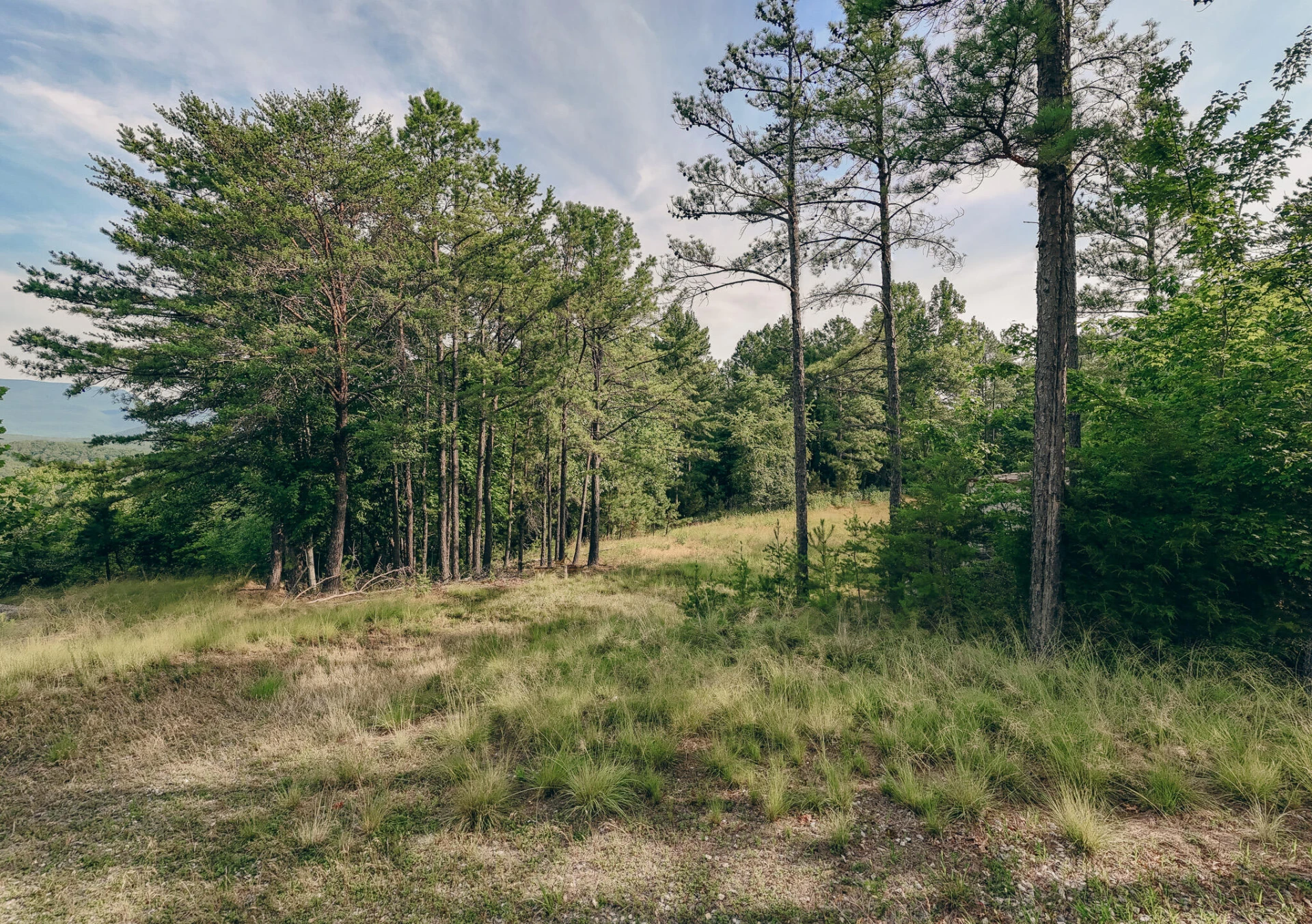 26-62B Sugar Tree Hollow RD - Photo 6