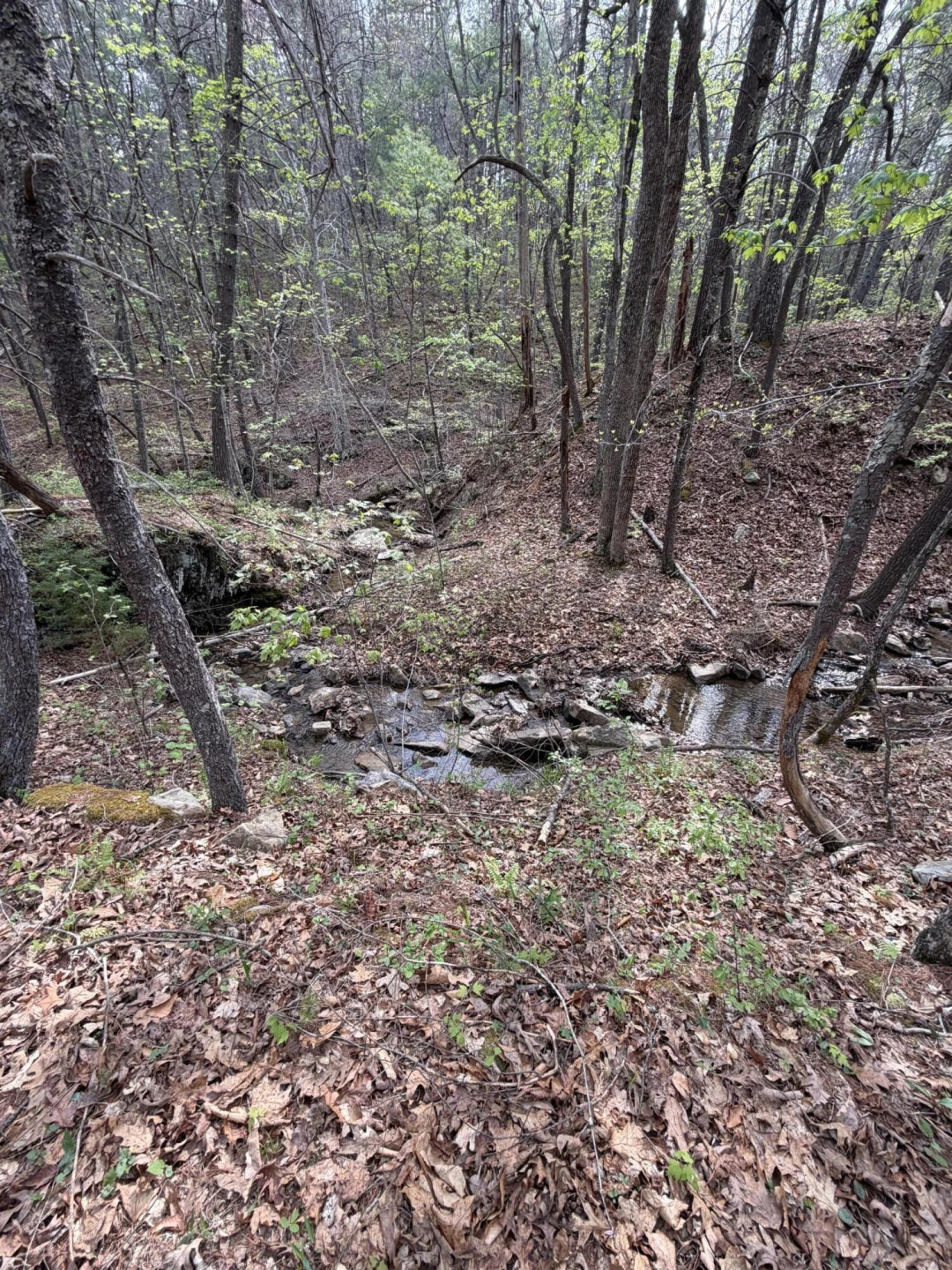 26-62B Sugar Tree Hollow RD - Photo 7