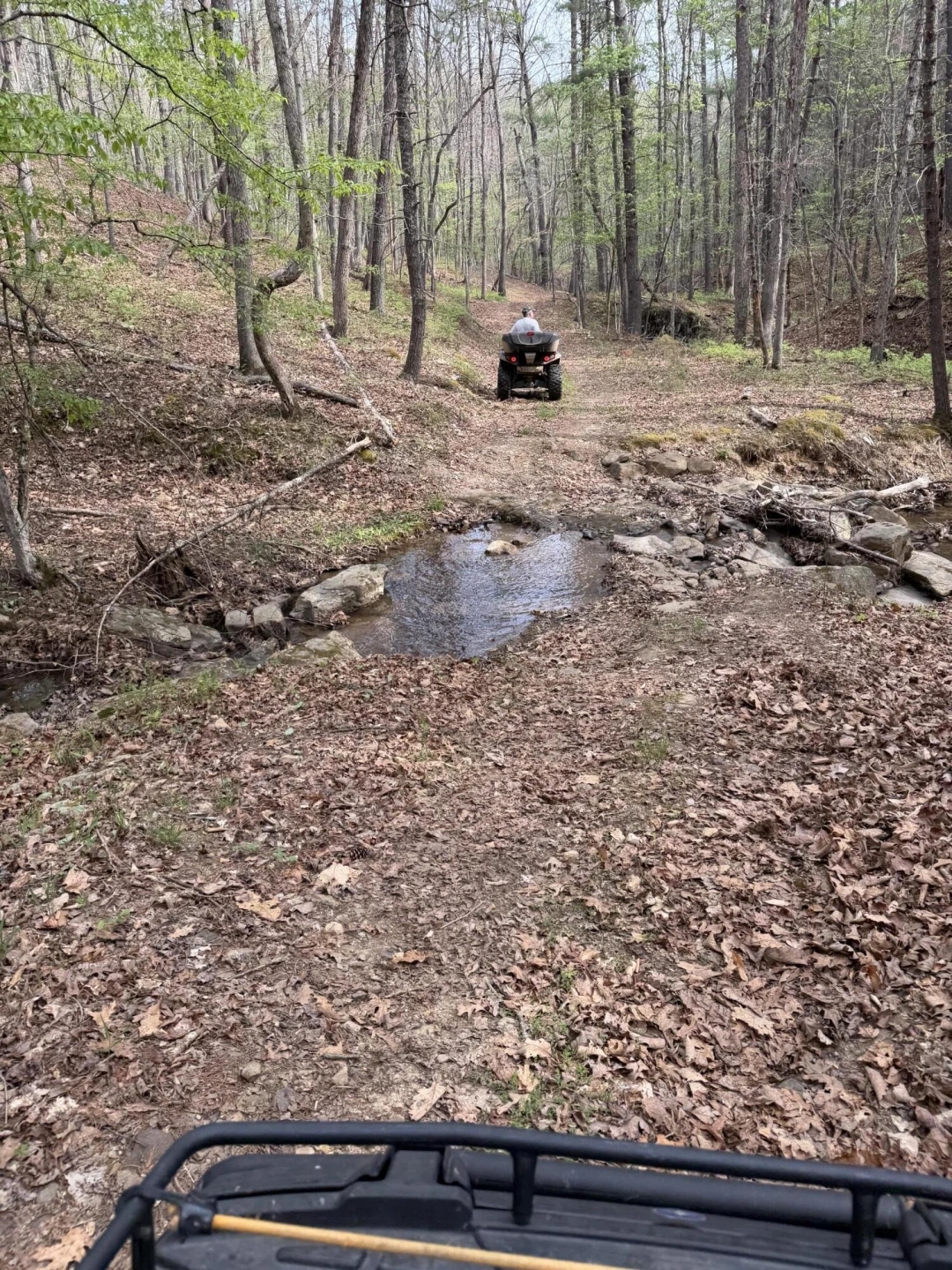 26-62B Sugar Tree Hollow RD - Photo 9