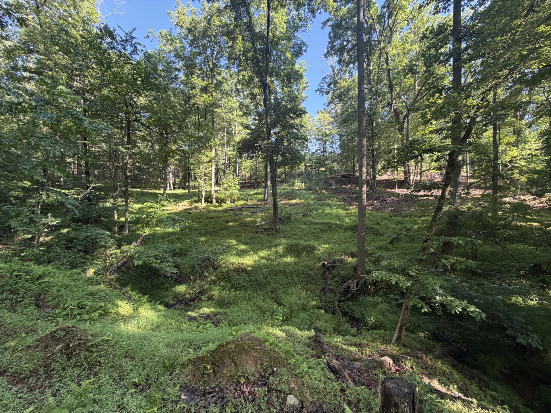 1280 Calvert RD - Photo 25
