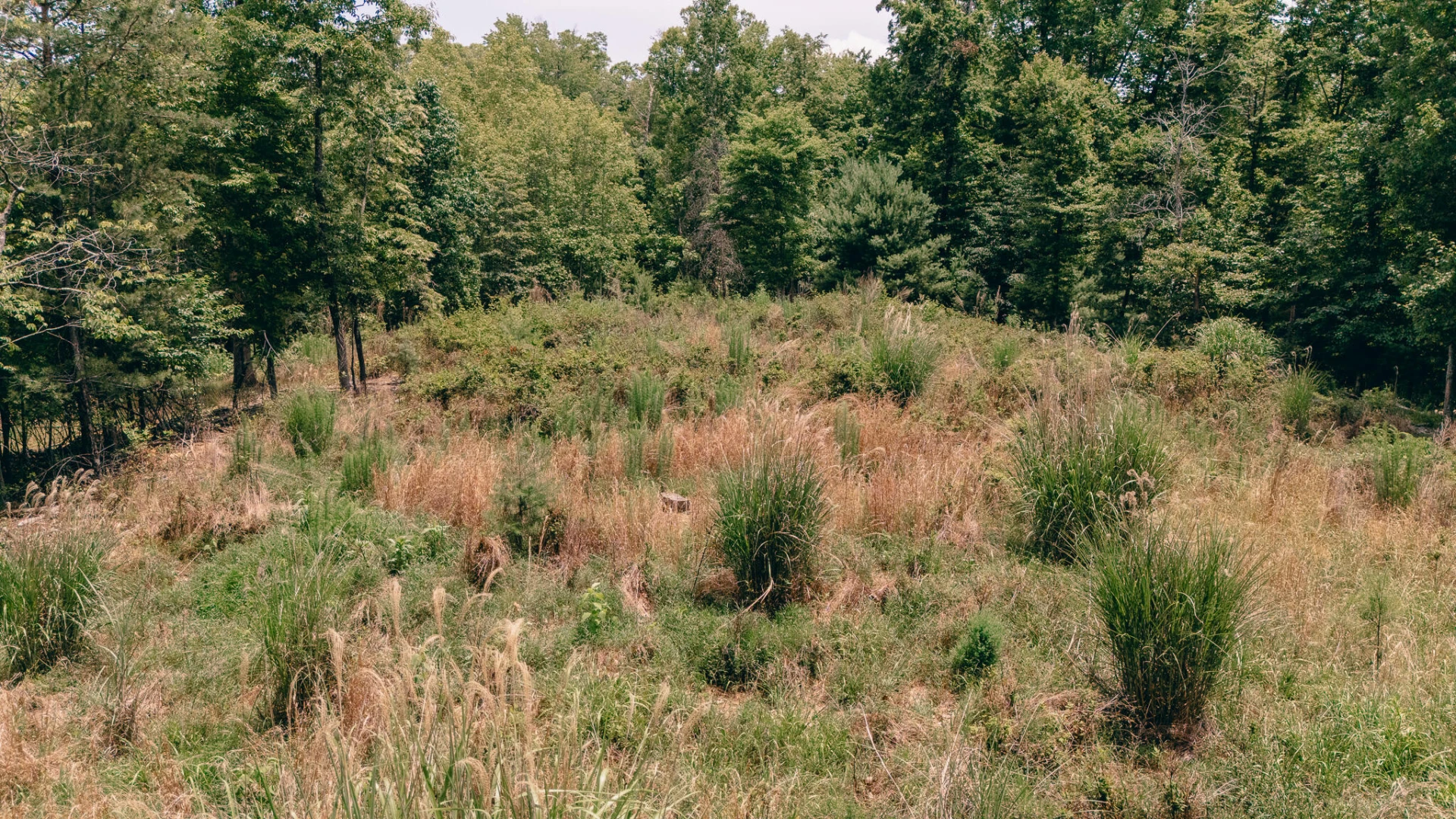 1280 Calvert RD - Photo 26