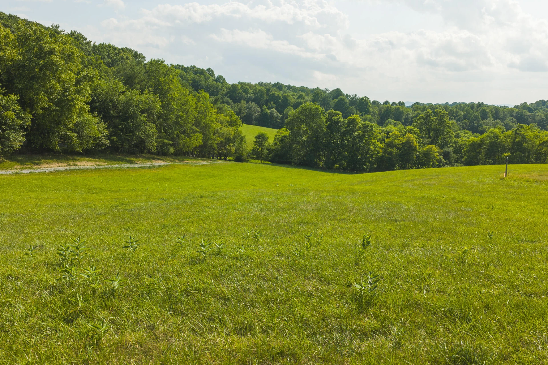 Lot 1 Brush Creek RD - Photo 9