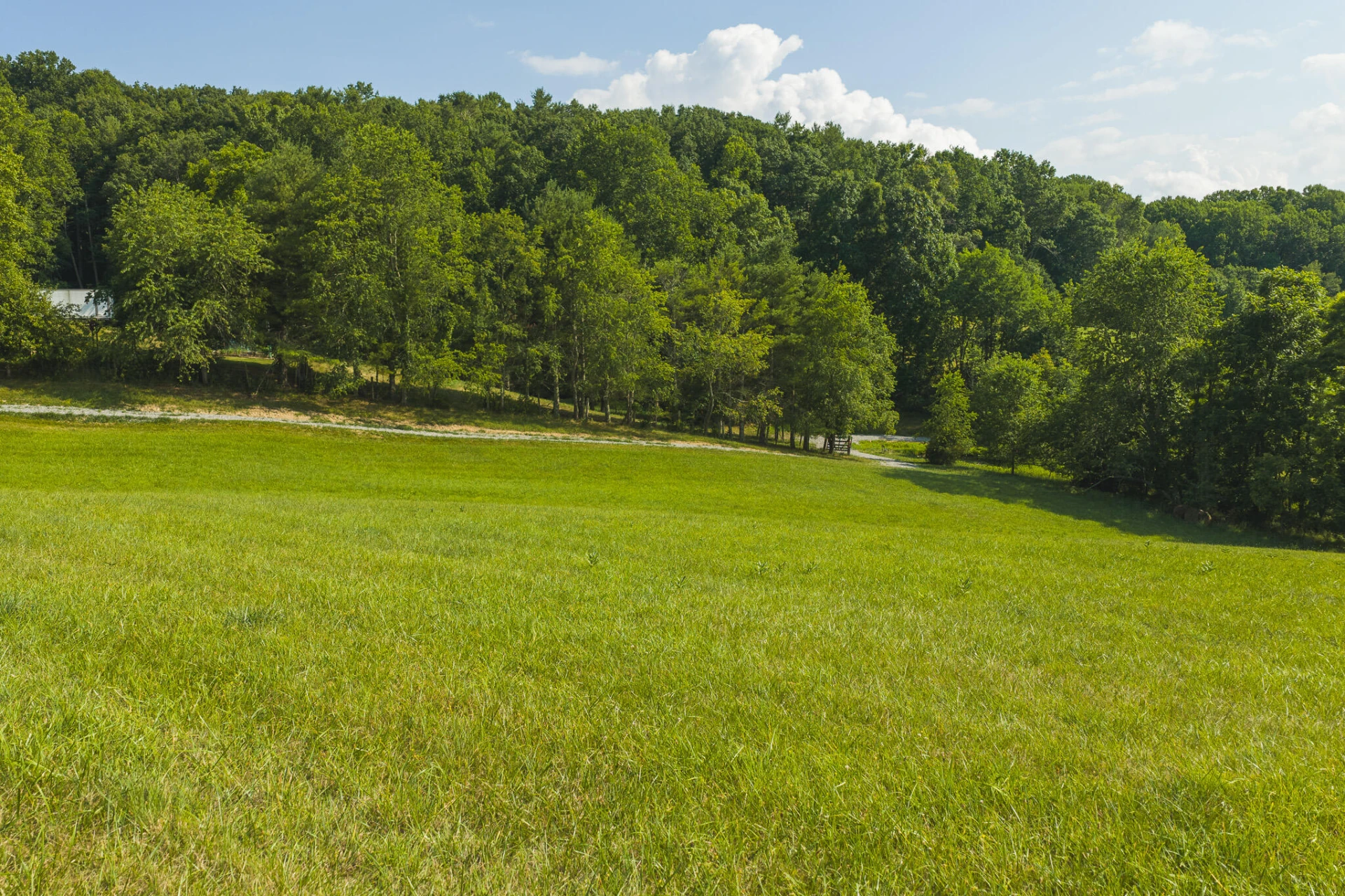 Lot 1 Brush Creek RD - Photo 10