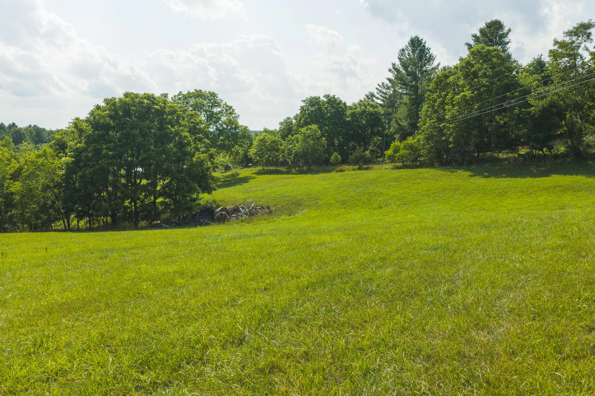 Lot 1 Brush Creek RD - Photo 16