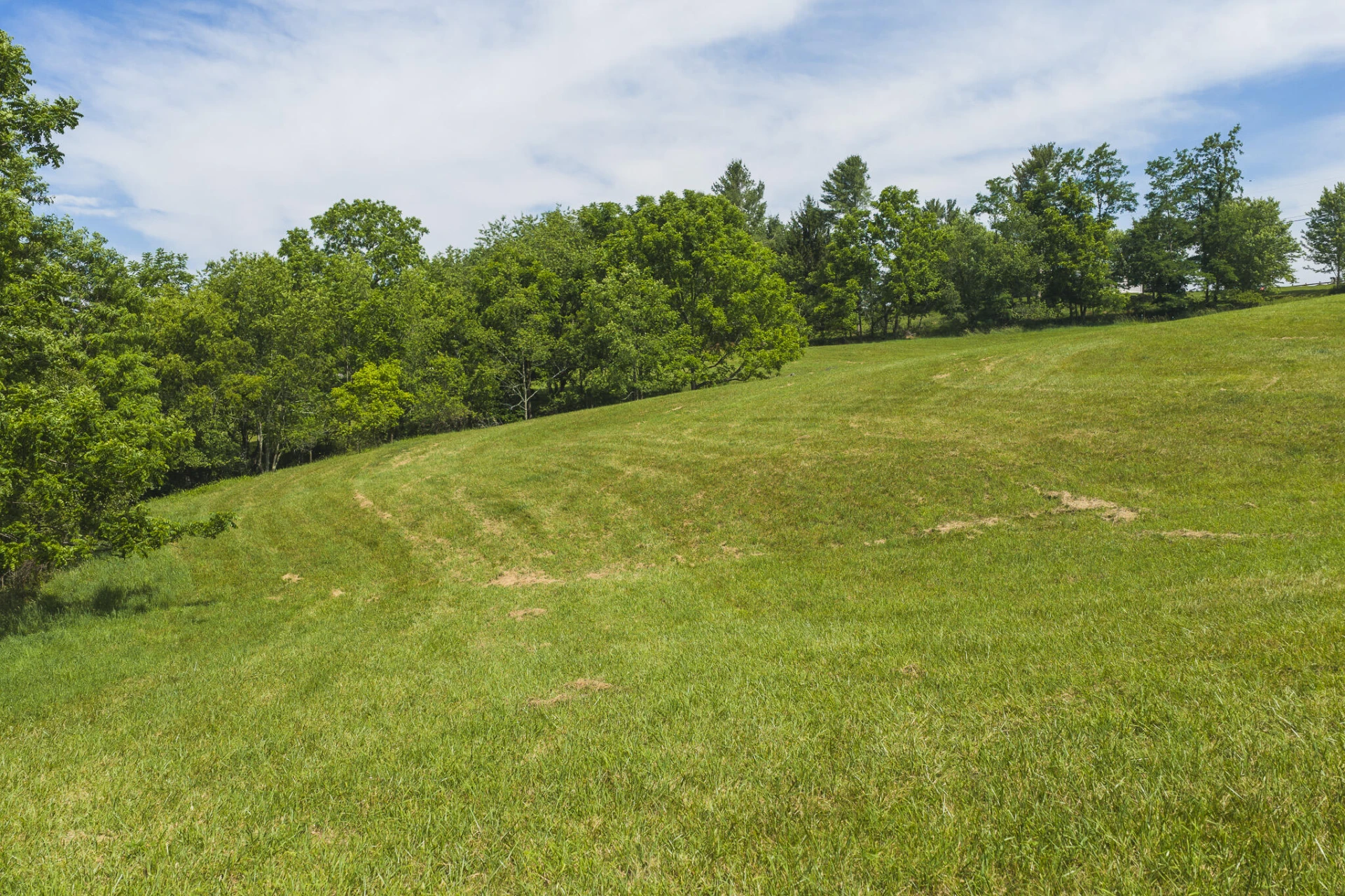 Lot 1 Brush Creek RD - Photo 2