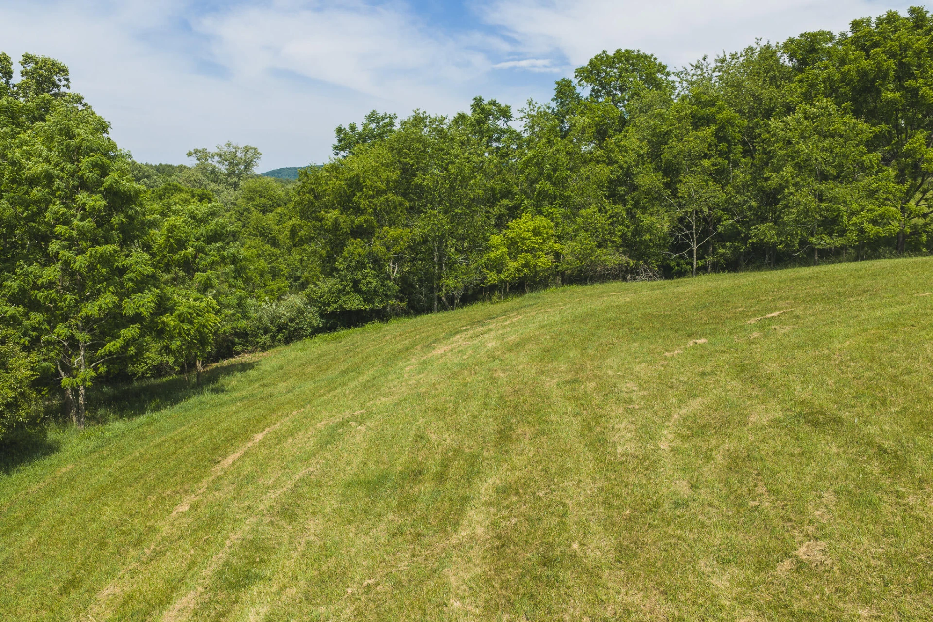 Lot 1 Brush Creek RD - Photo 3