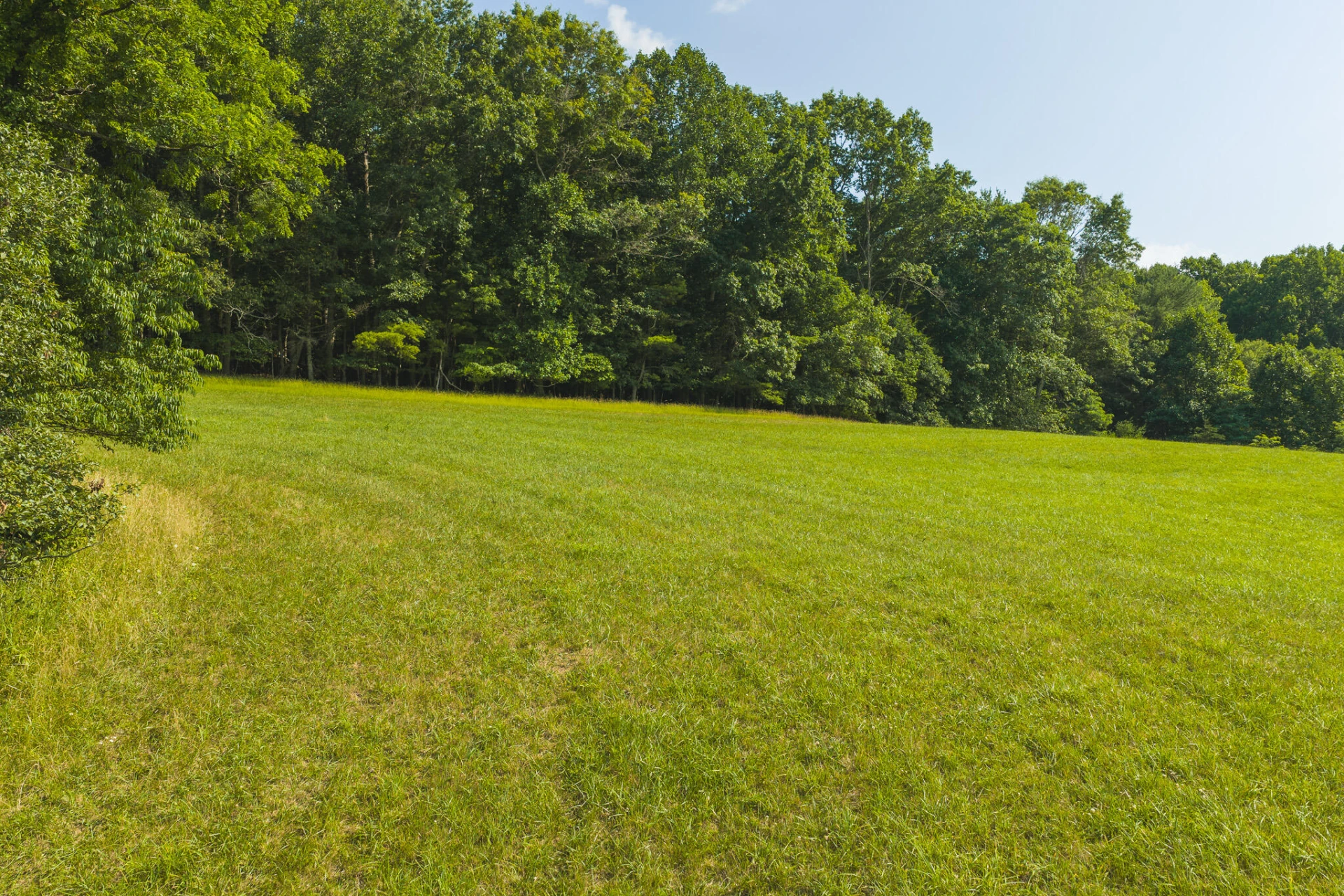 Lot 2 Brush Creek RD - Photo 10