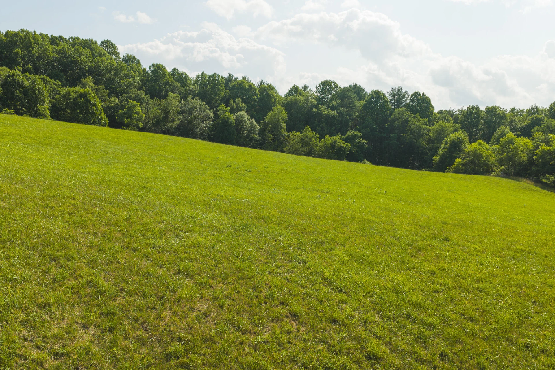 Lot 2 Brush Creek RD - Photo 12