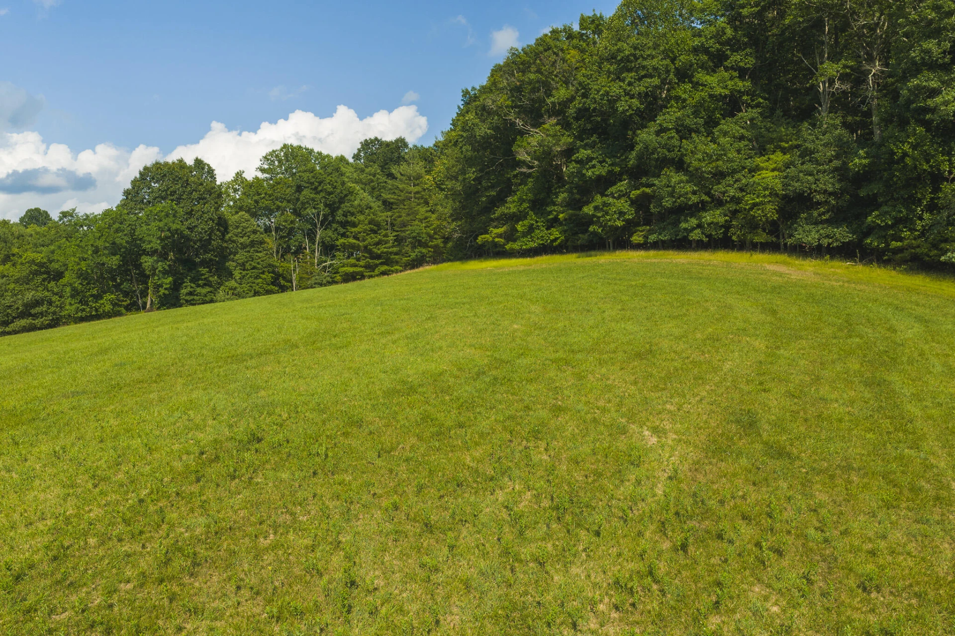Lot 2 Brush Creek RD - Photo 14