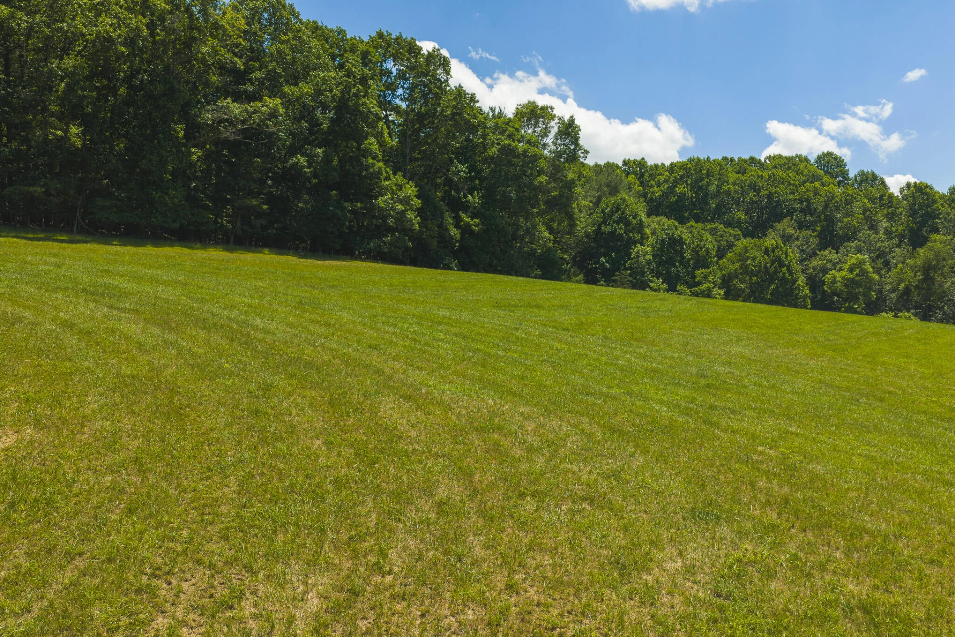 Lot 2 Brush Creek RD - Photo 9