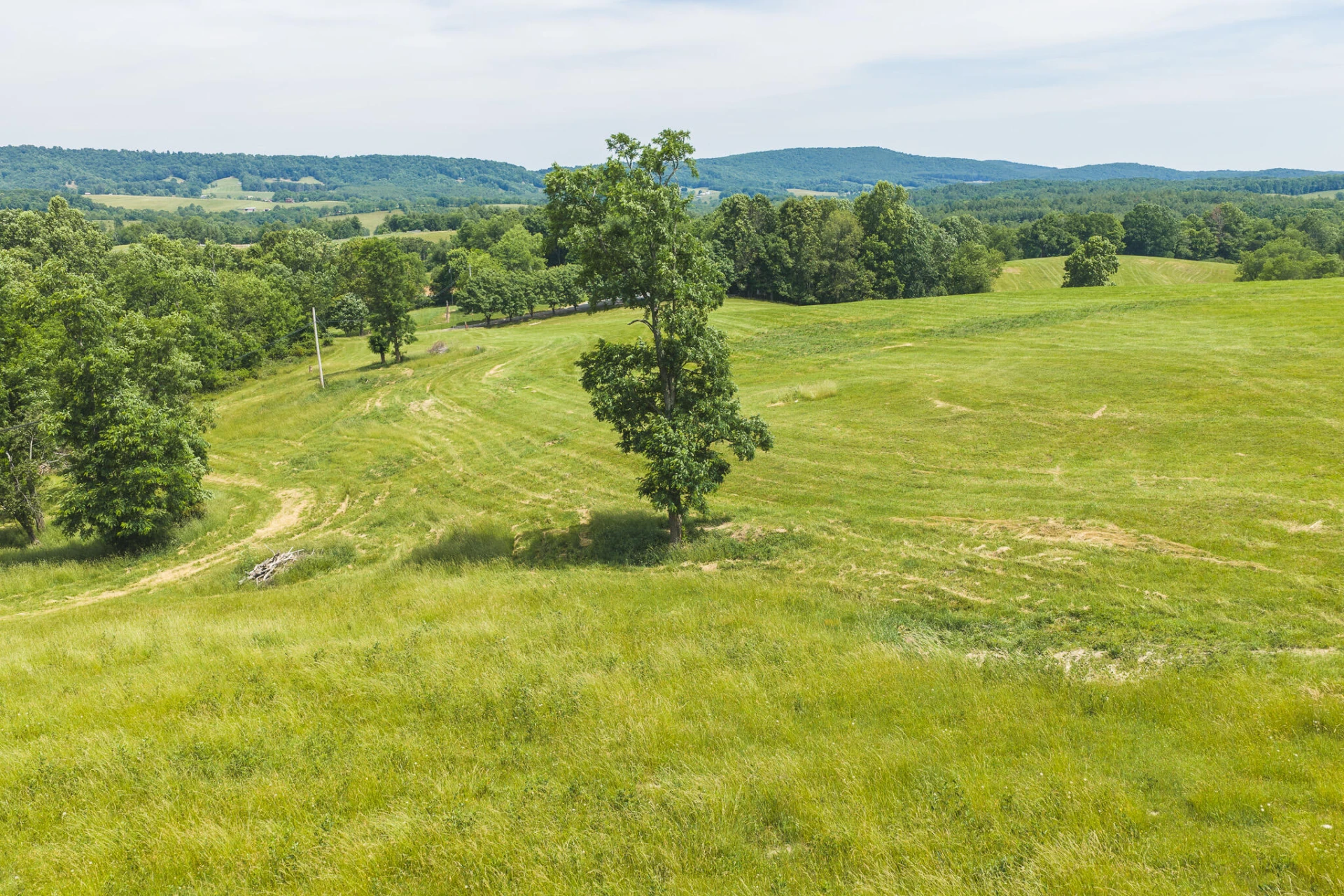 Lot 3 Brush Creek RD - Photo 11