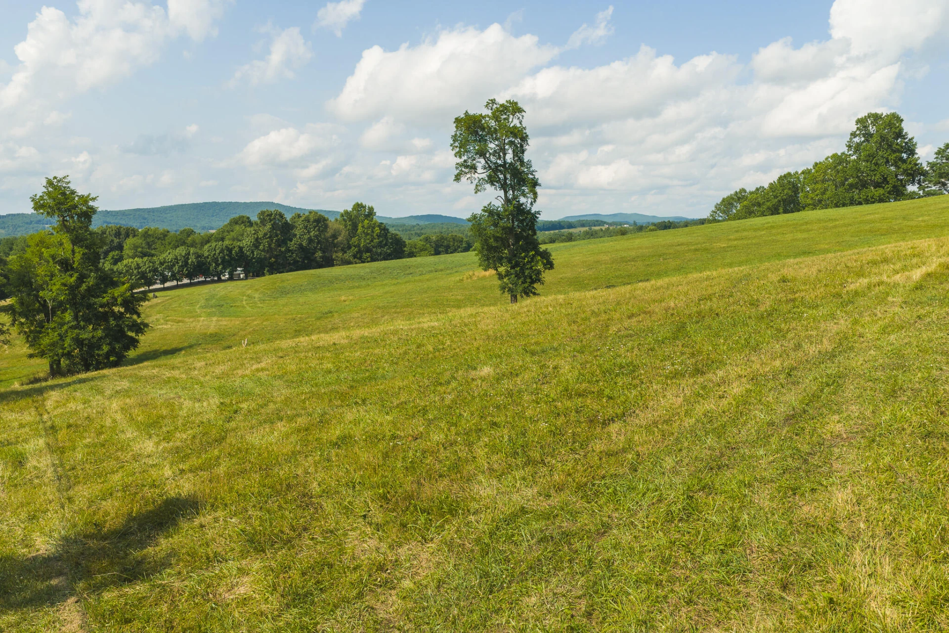 Lot 3 Brush Creek RD - Photo 26