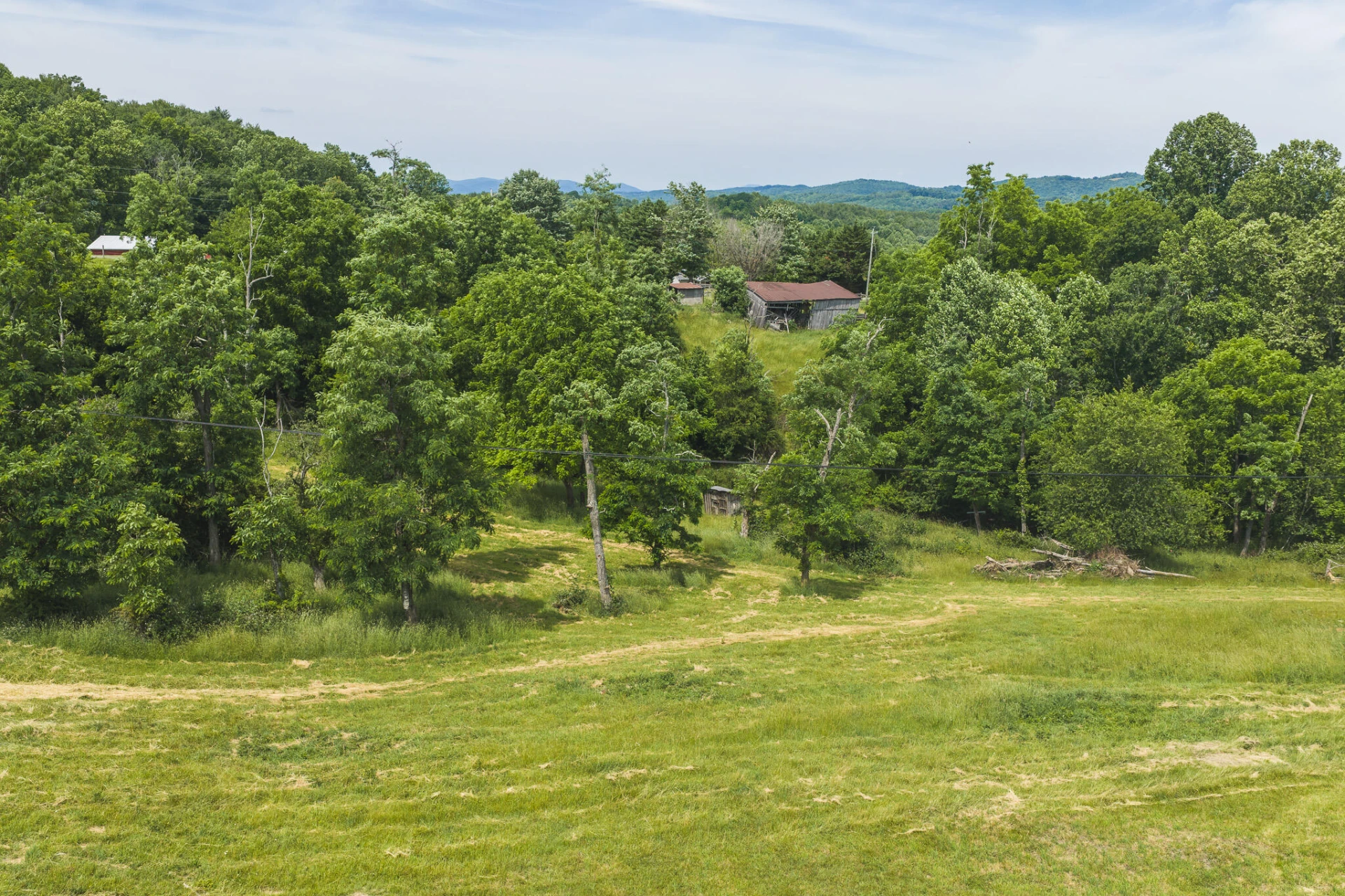 Lot 3 Brush Creek RD - Photo 9