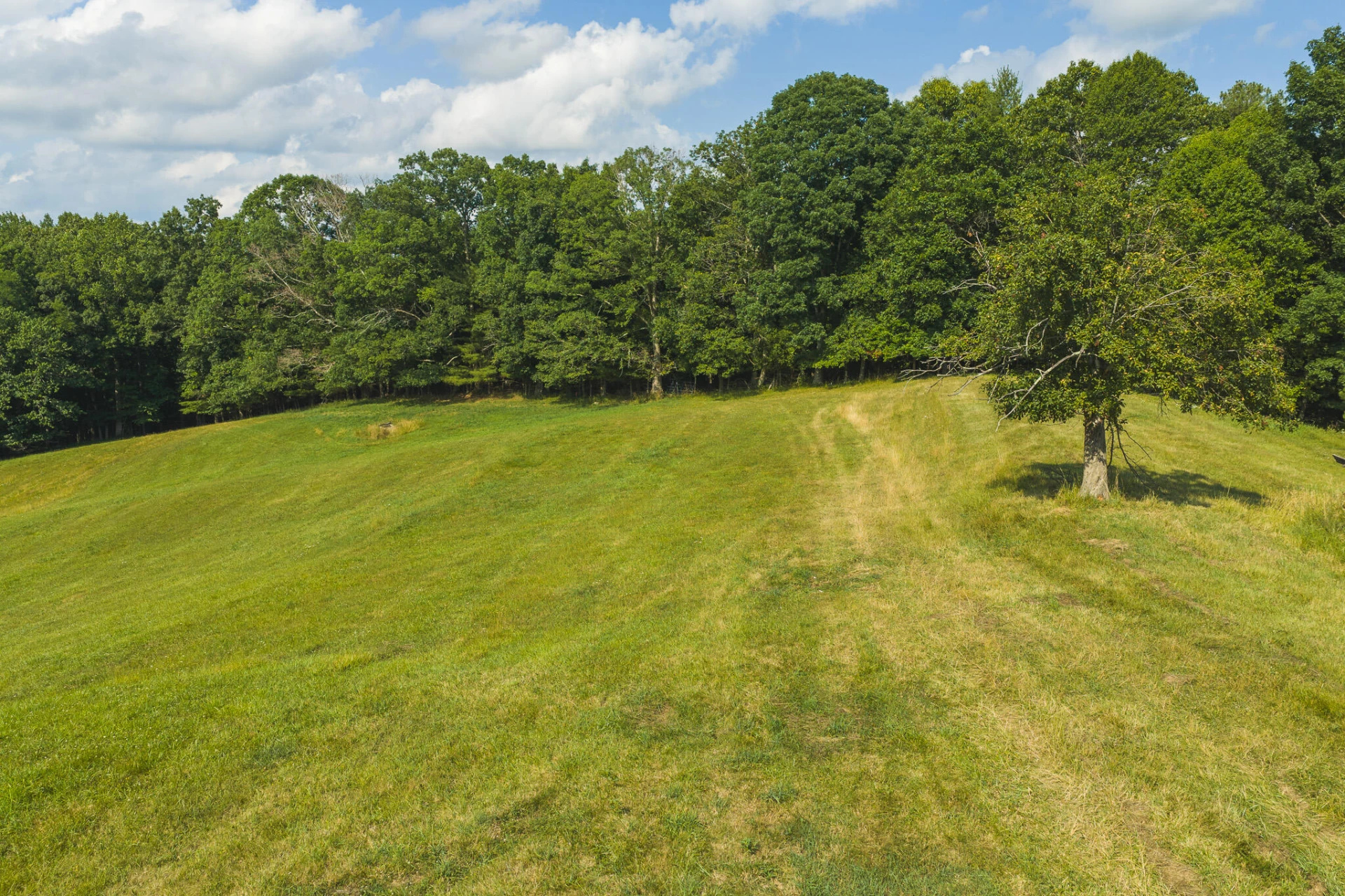 Lot 4 Brush Creek RD - Photo 12