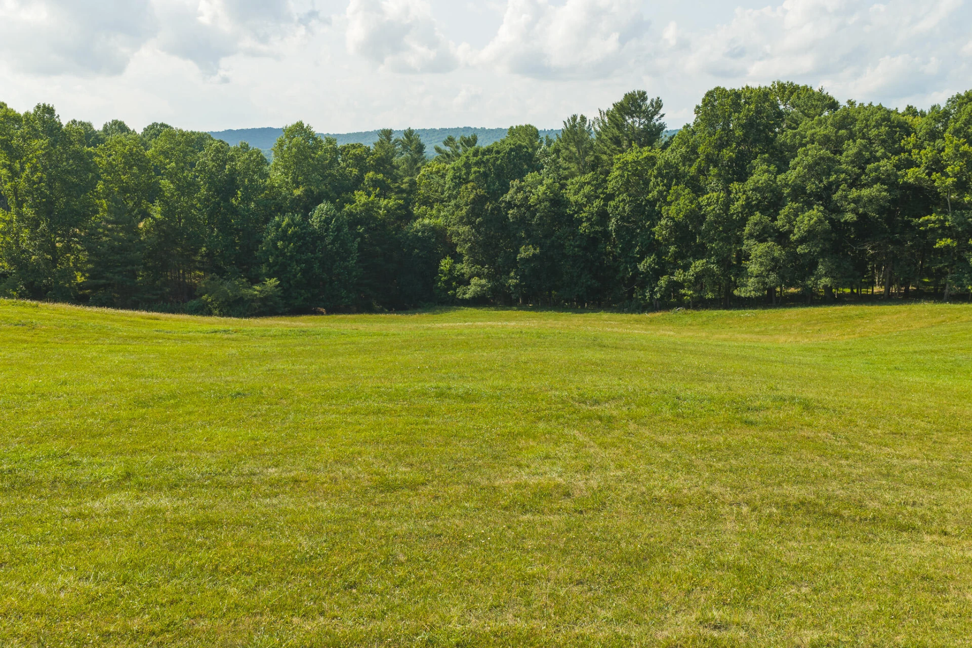 Lot 4 Brush Creek RD - Photo 13