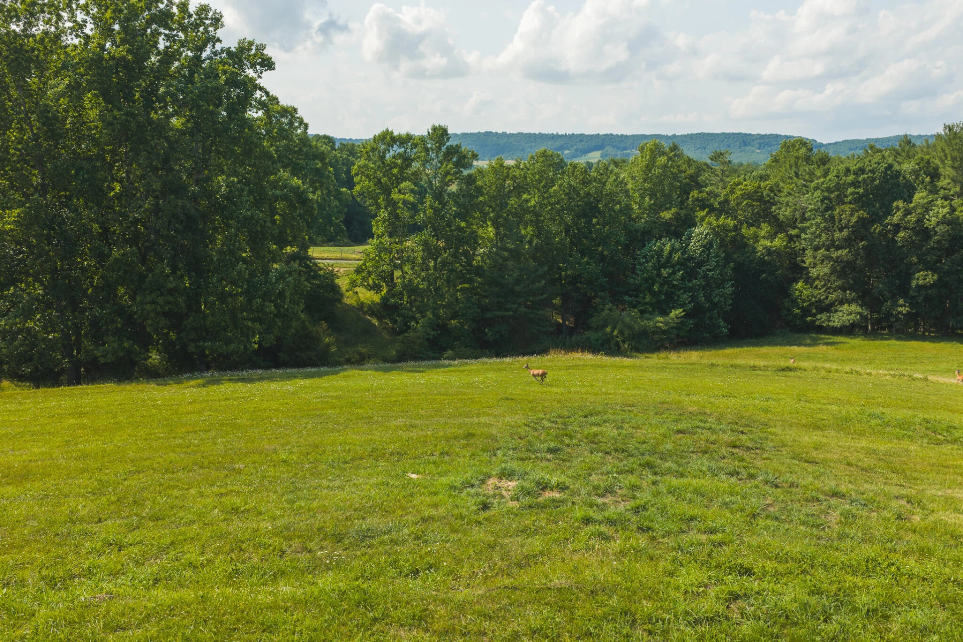 Lot 4 Brush Creek RD - Photo 17