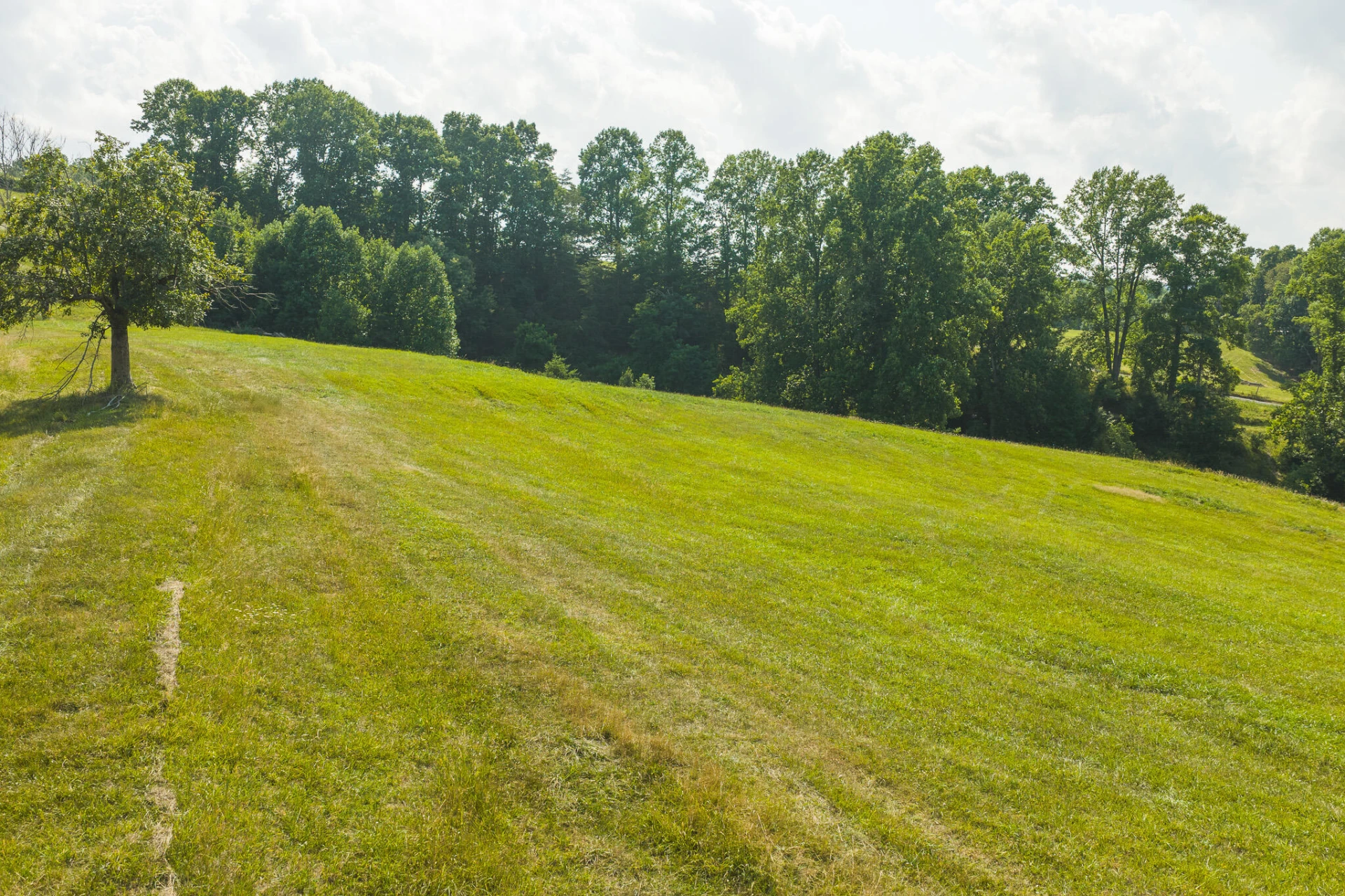 Lot 4 Brush Creek RD - Photo 20